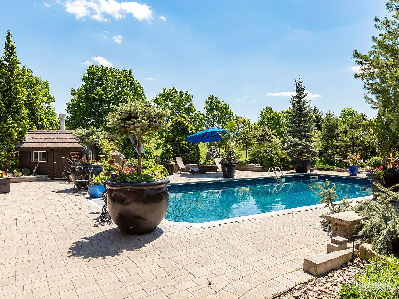 A True-Gem "Pool" in Caledon Village Photo 4