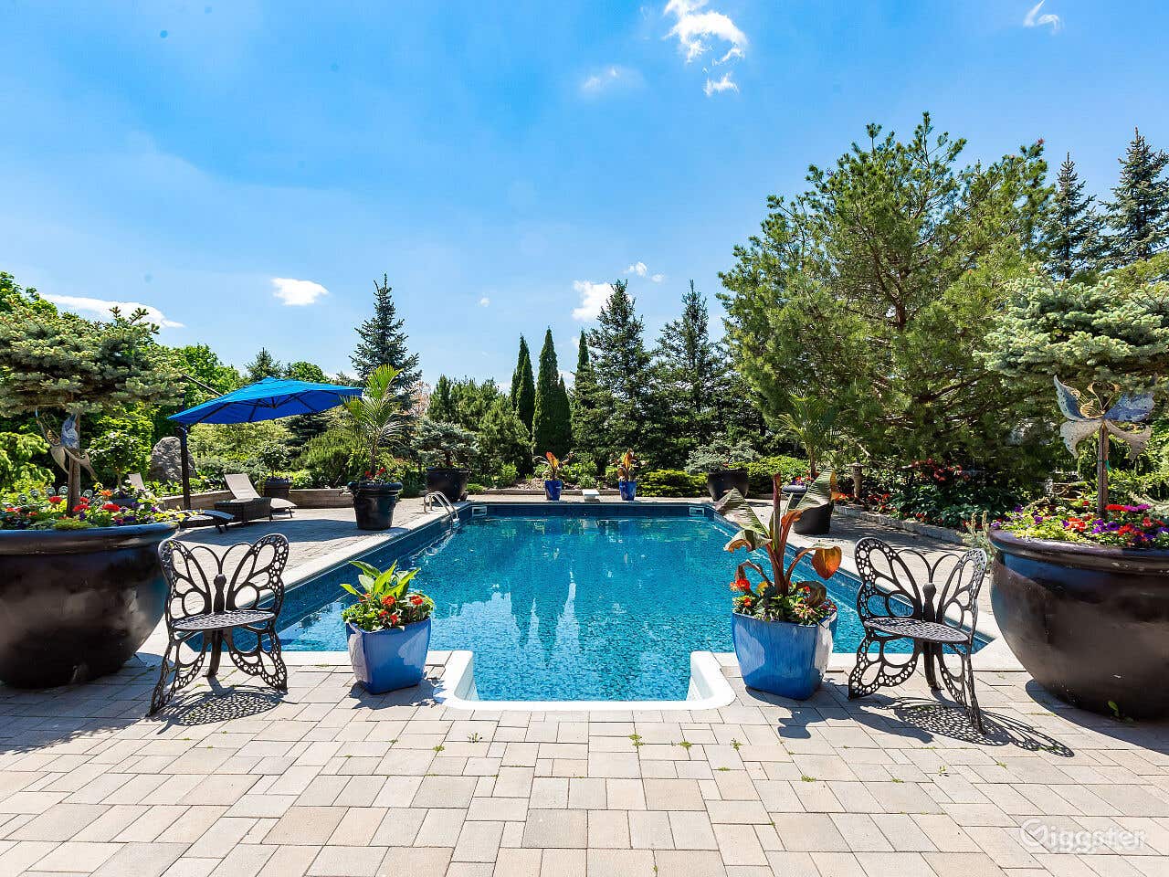 A True-Gem "Pool" in Caledon Village Photo 2
