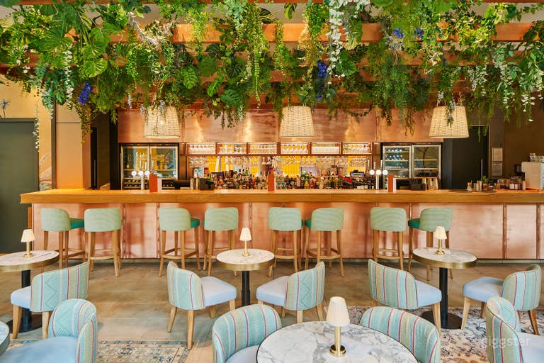  Light, Open Premium Restaurant with Terrace & Curtained Bar 