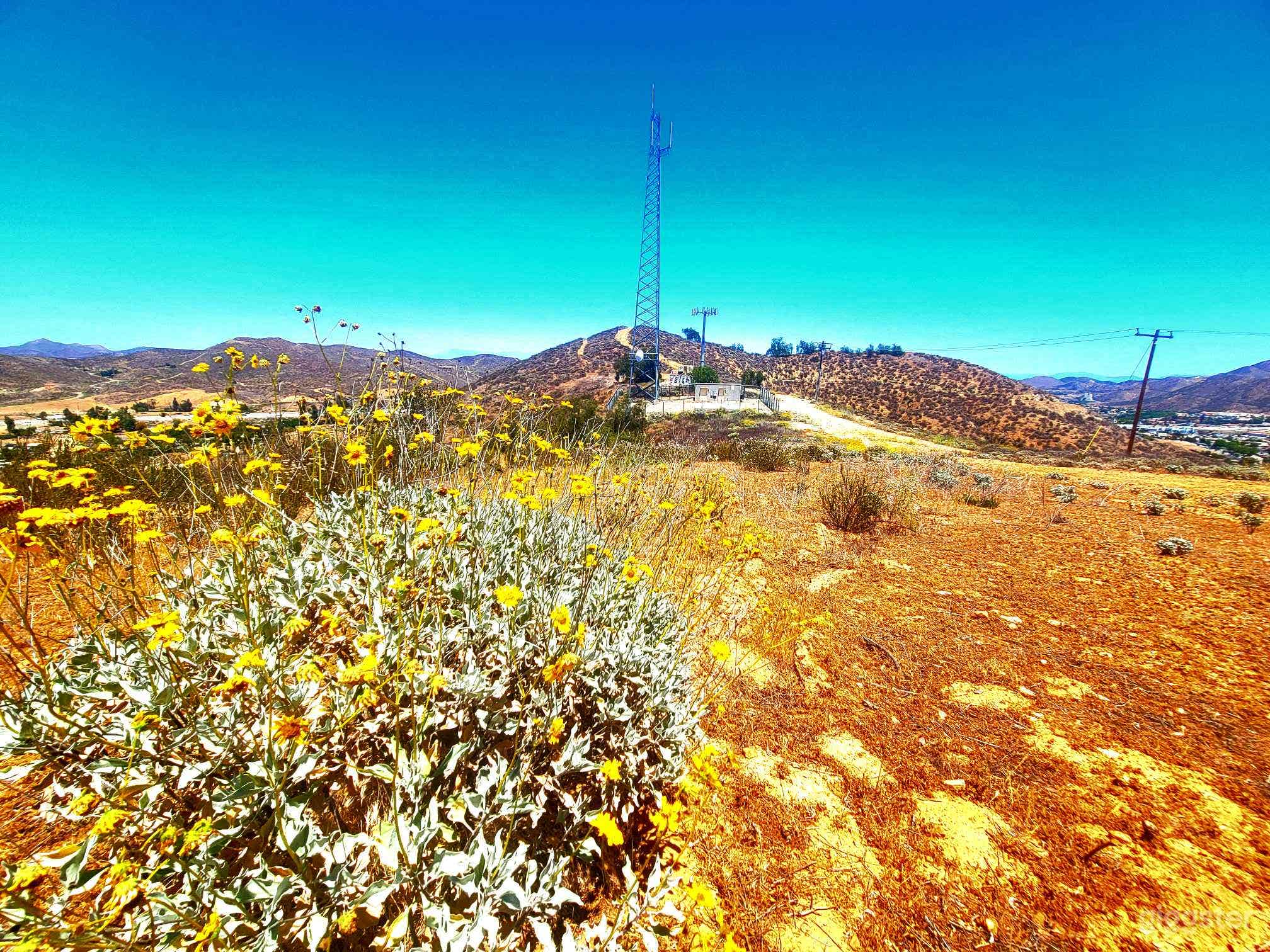 LAKE AND CITY Photo 4