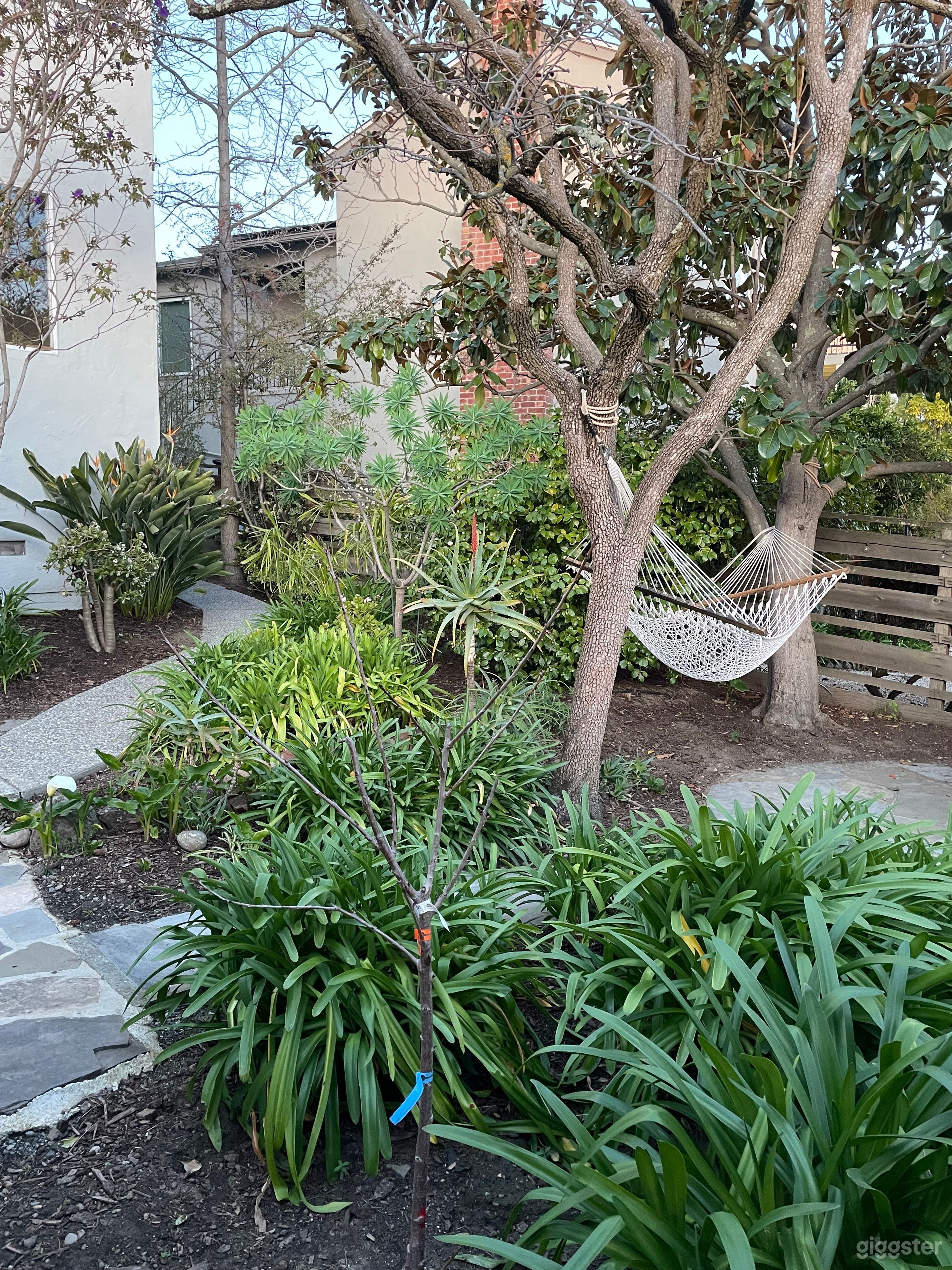 Mediterranean Oakland Oasis with Bay Views Photo 2