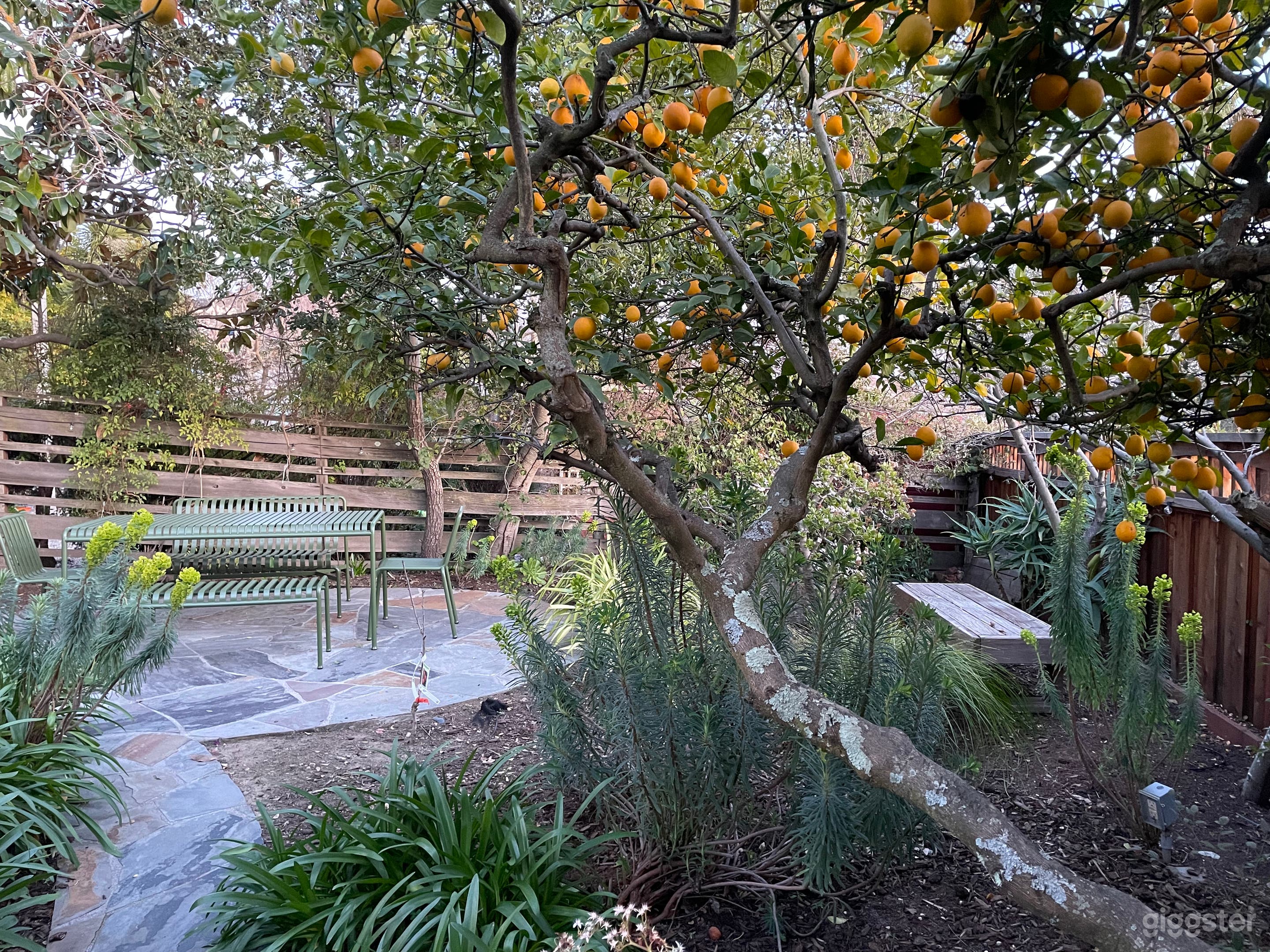 Mediterranean Oakland Oasis with Bay Views Photo 4