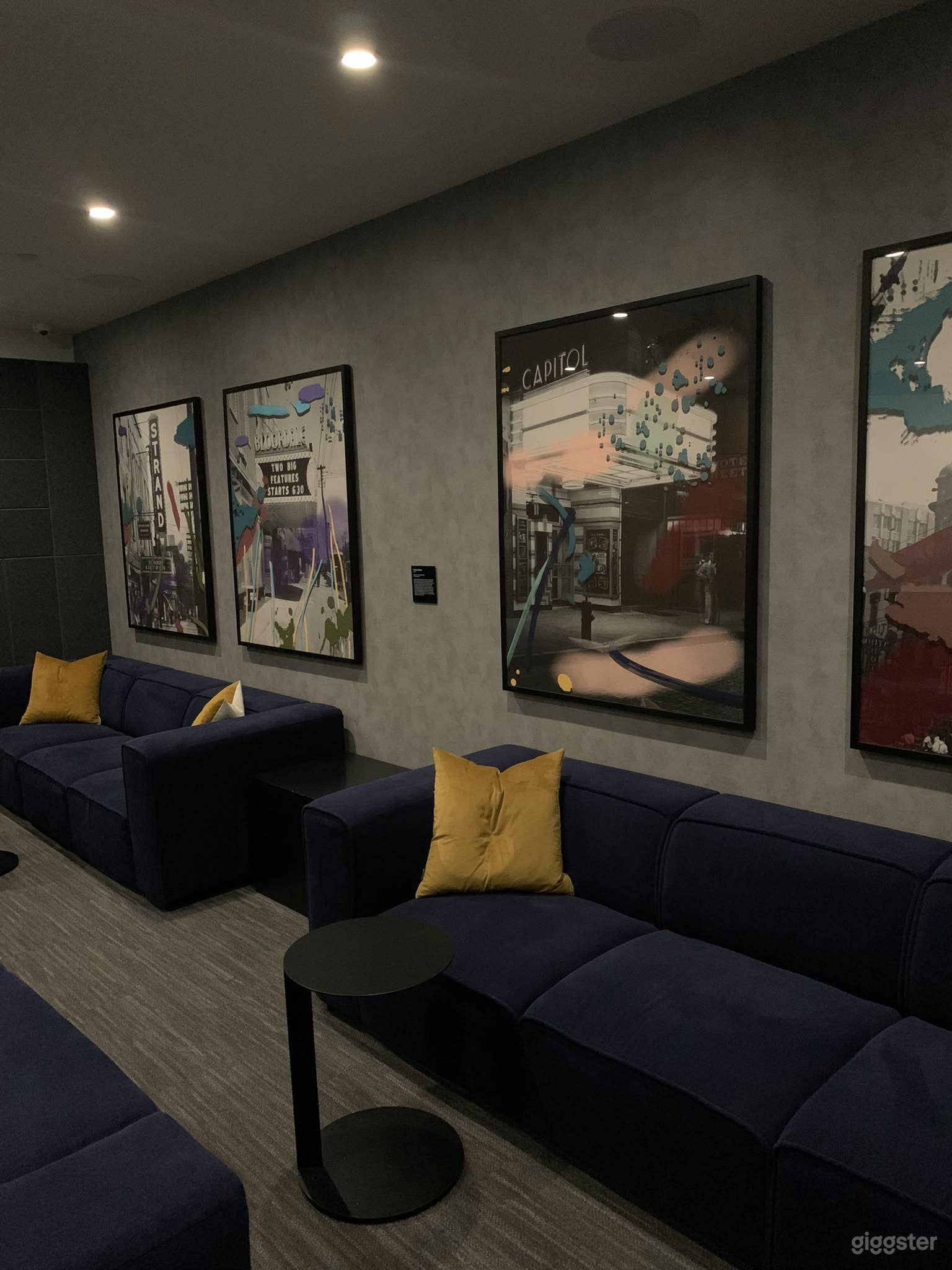 Central Screening Room Photo 4