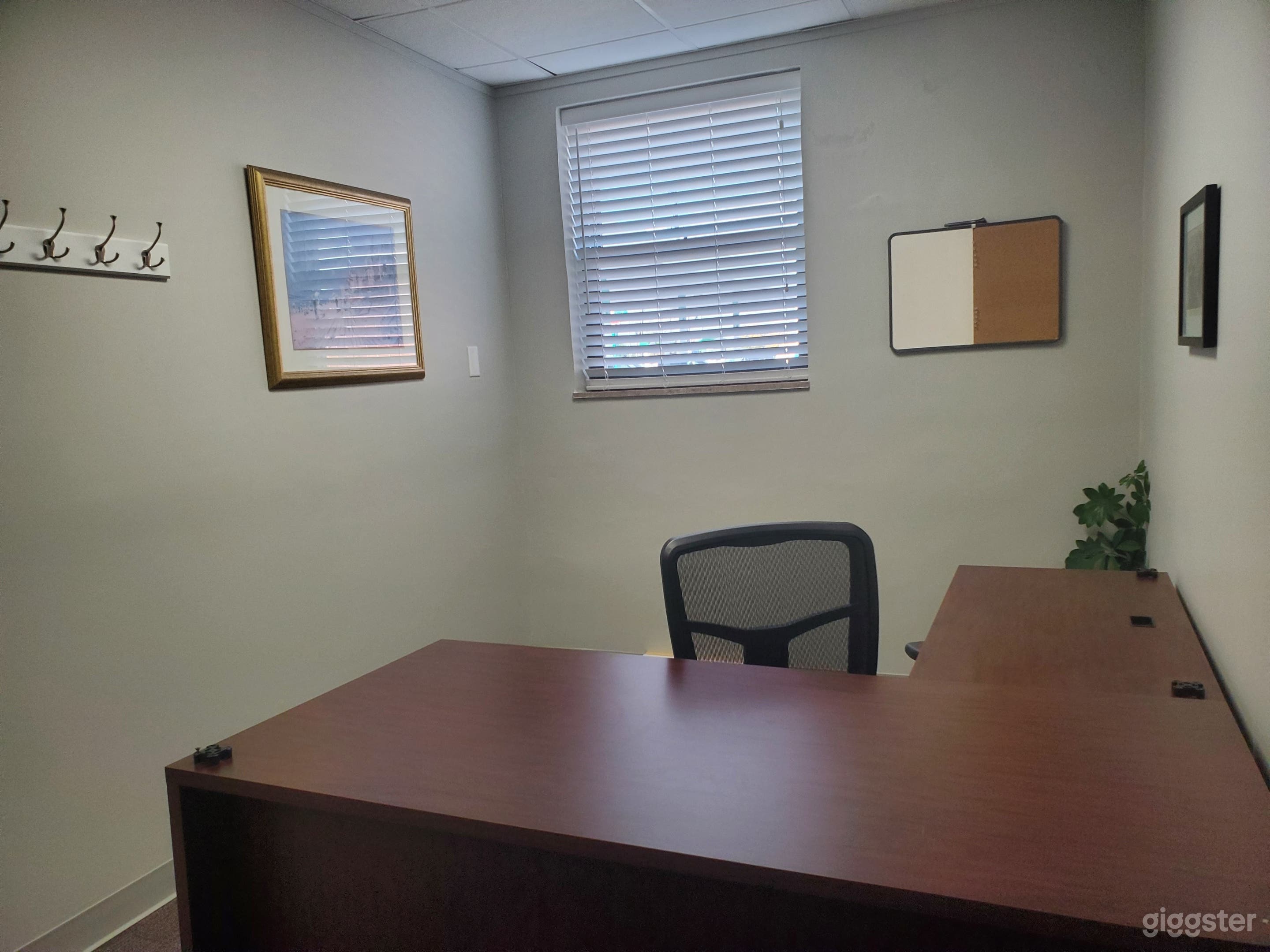 WorkRoom / Private Office- 117 Photo 4