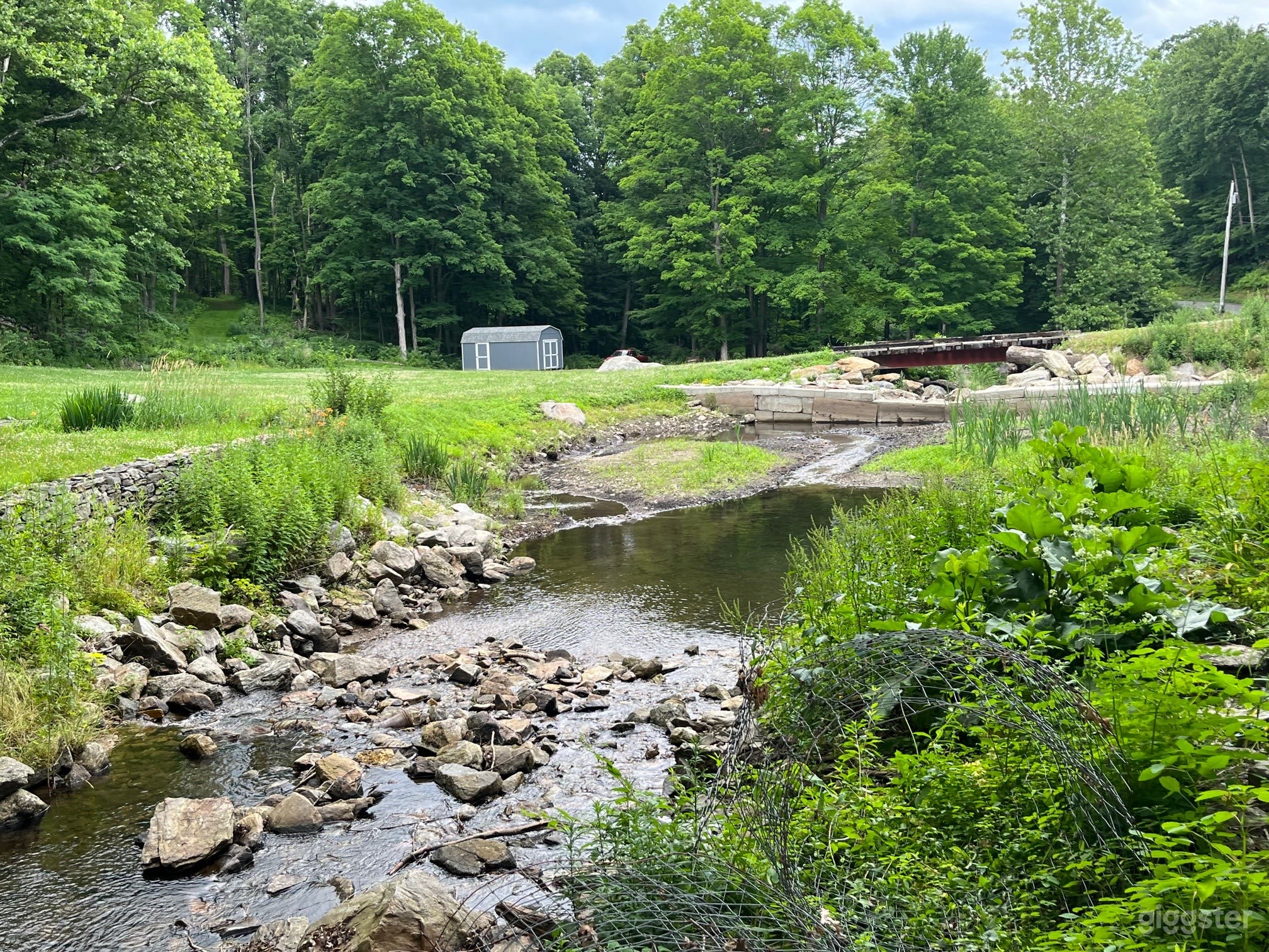 Back of house. The stream. Summer.