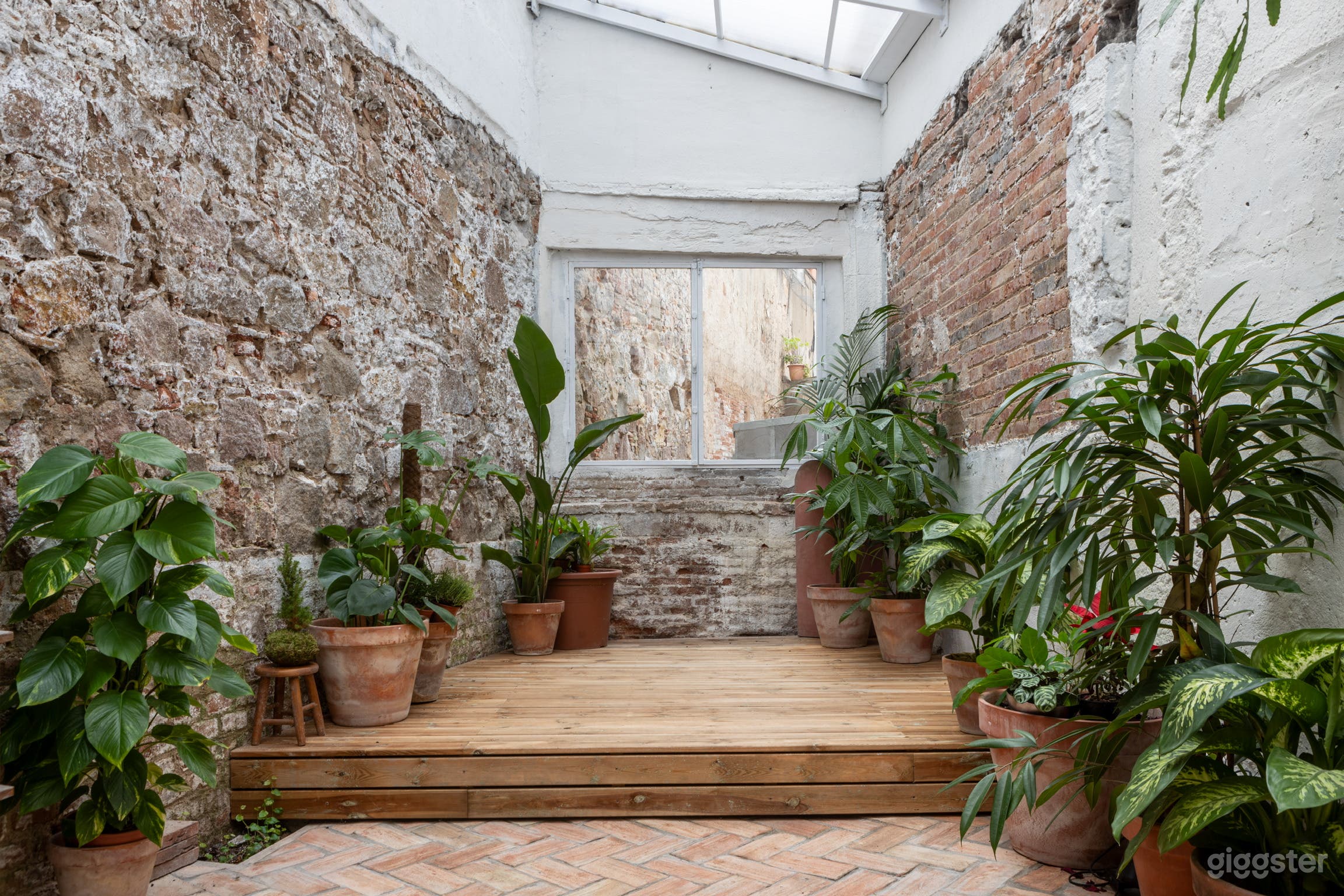 Espacio flexible para eventos lleno de plantas Foto 4