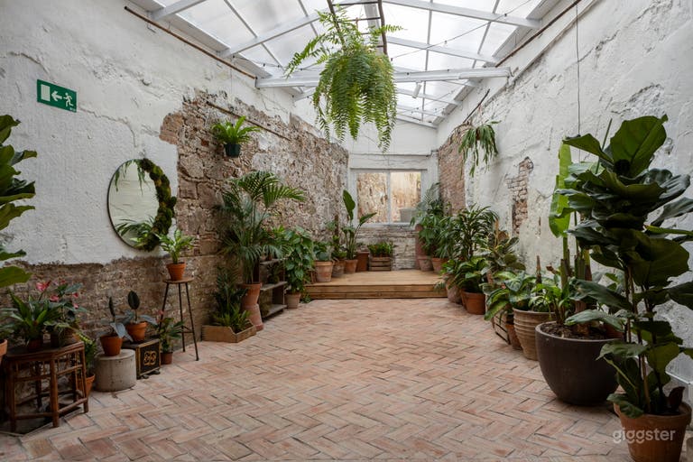  Espacio flexible para eventos lleno de plantas 