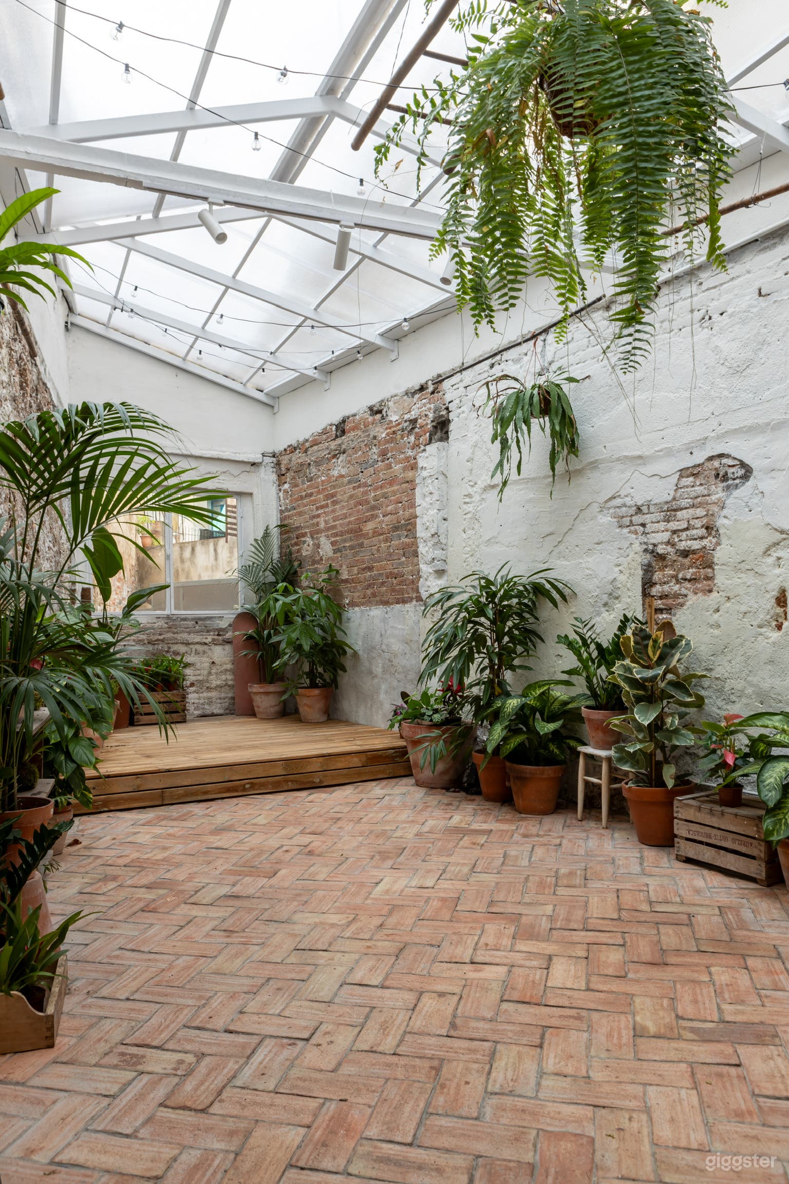 Espacio flexible para eventos lleno de plantas Foto 3