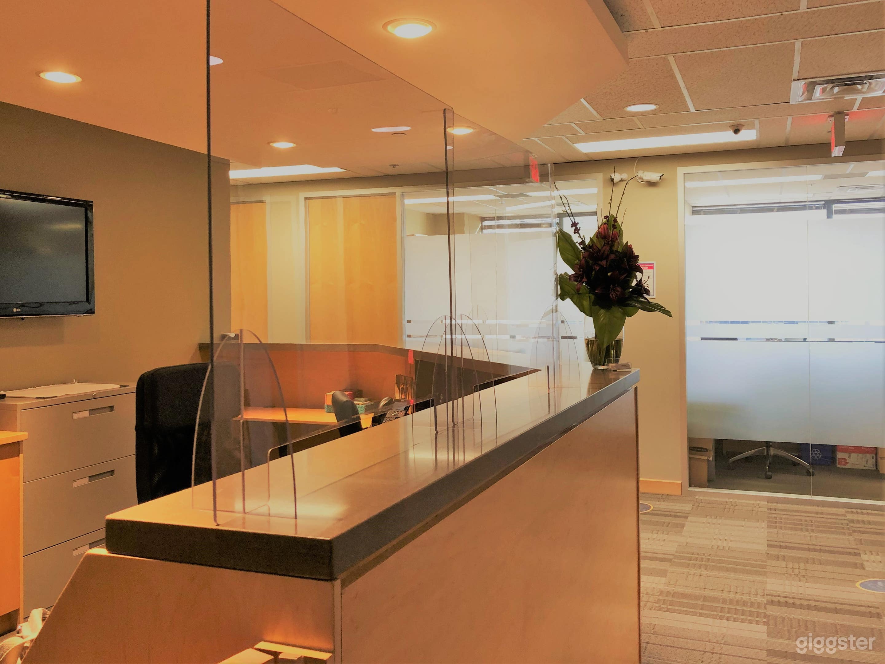 Counsellor Office for 3 guests Photo 4