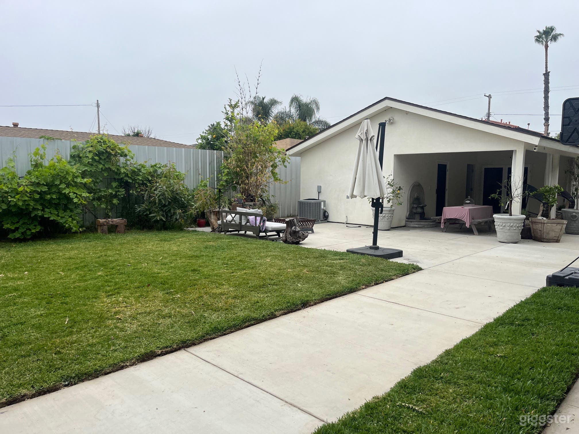 Zen Backyard Photo 3