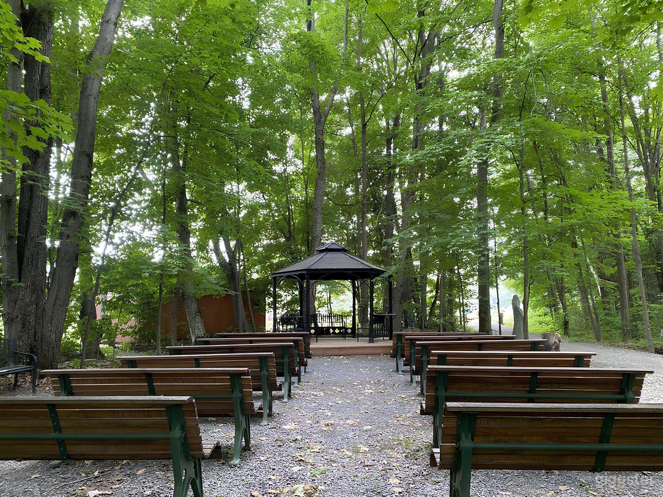 MAPLE GROVE Photo 1