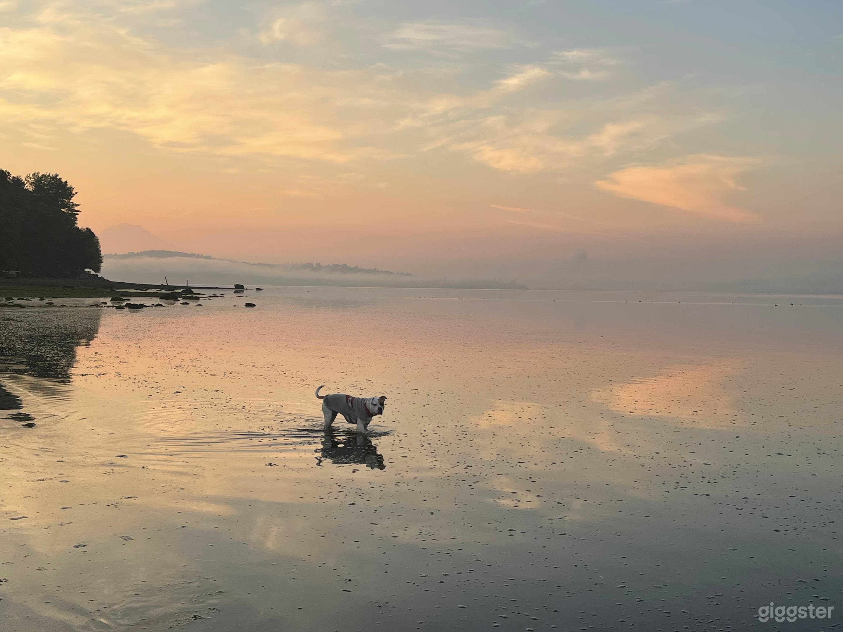 Stunning Water, Mountain &amp; Forest Views Photo 4