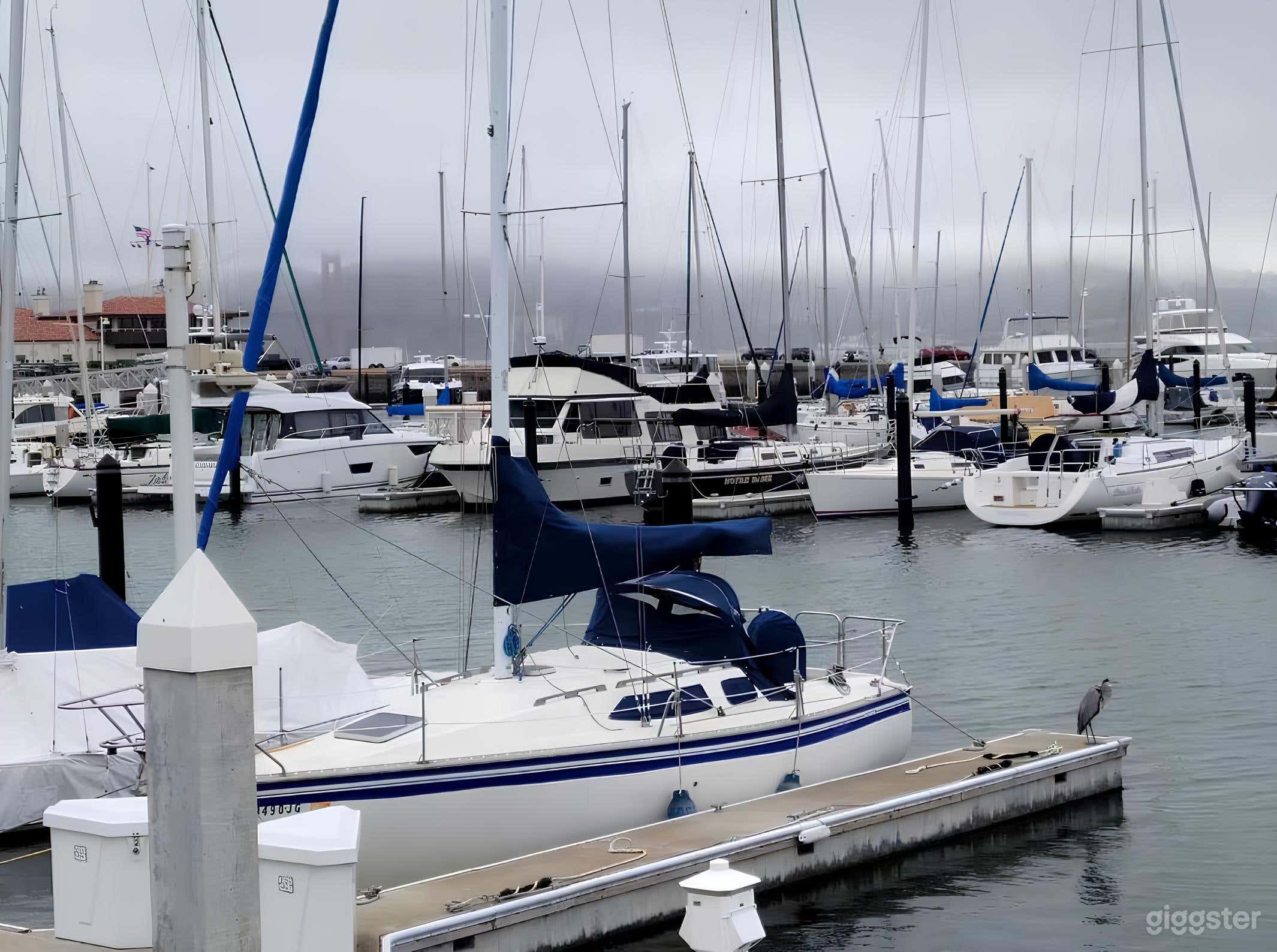 PRIVATE SAILBOAT CRUISE FOR SPECIAL EVENTS Photo 2