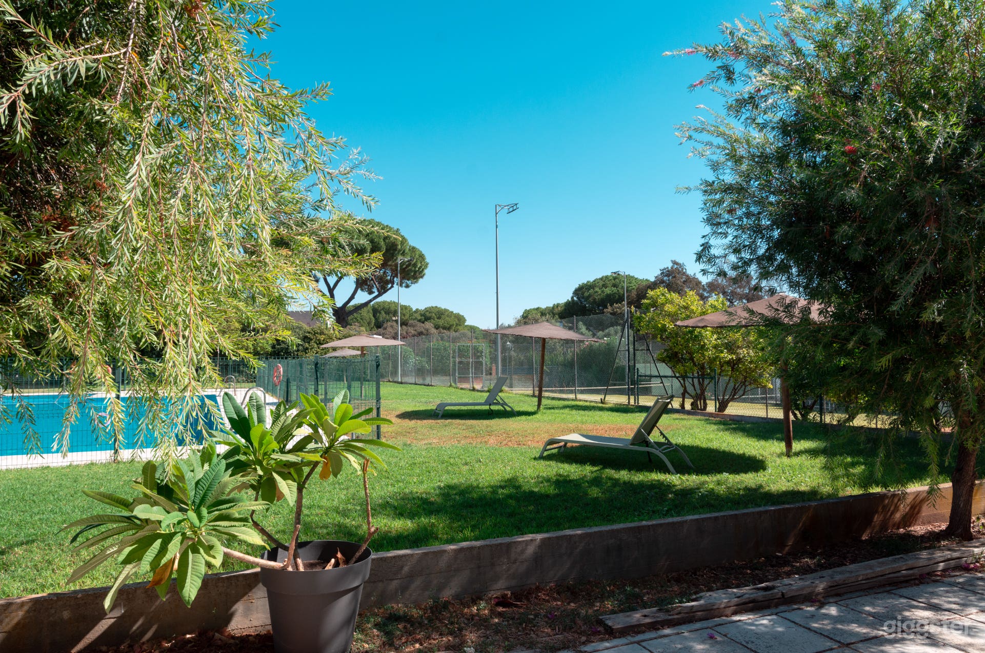 Amplio club campestre con jardines e interior en Sevilla Foto 3