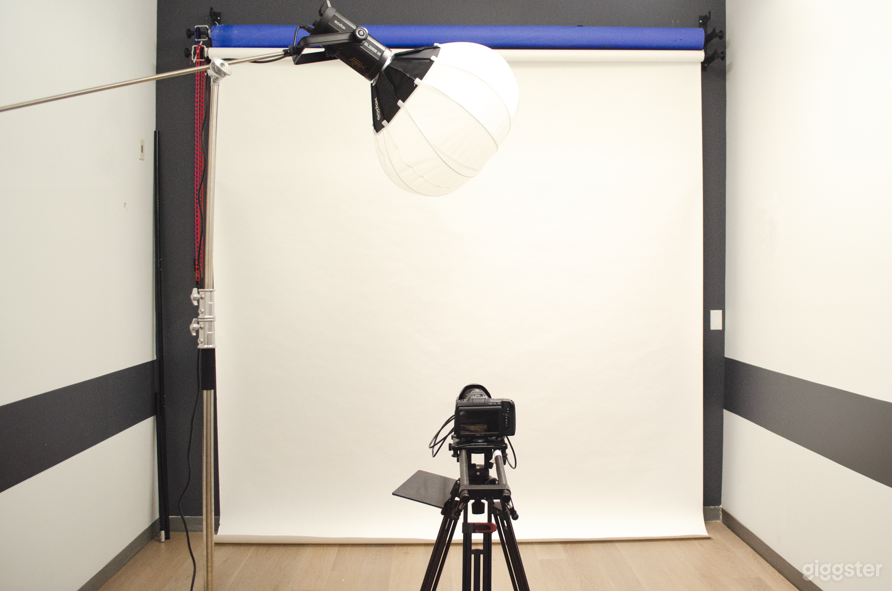 9ftx12 ft backdrop set up  in a 10x 20 ft space. 