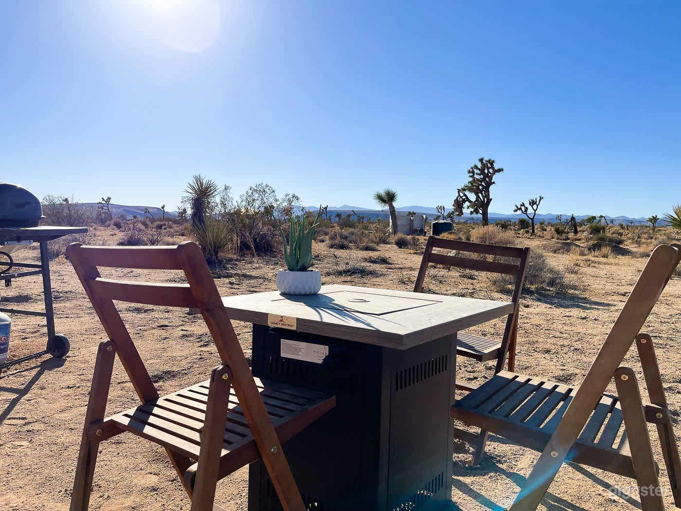 Desert Rose - Joshua Tree  Photo 1