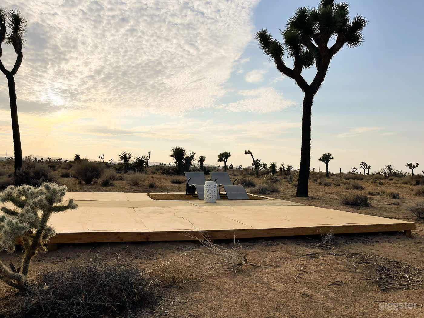 Desert Rose - Joshua Tree  Photo 3