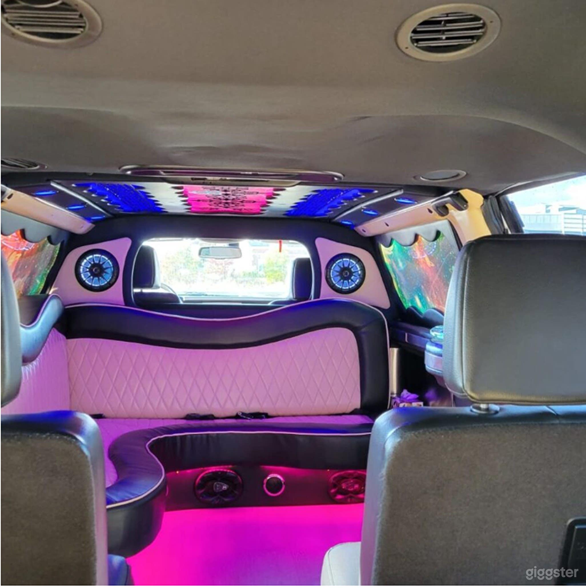 Premier Limousine Service And Party Bus Photo 4