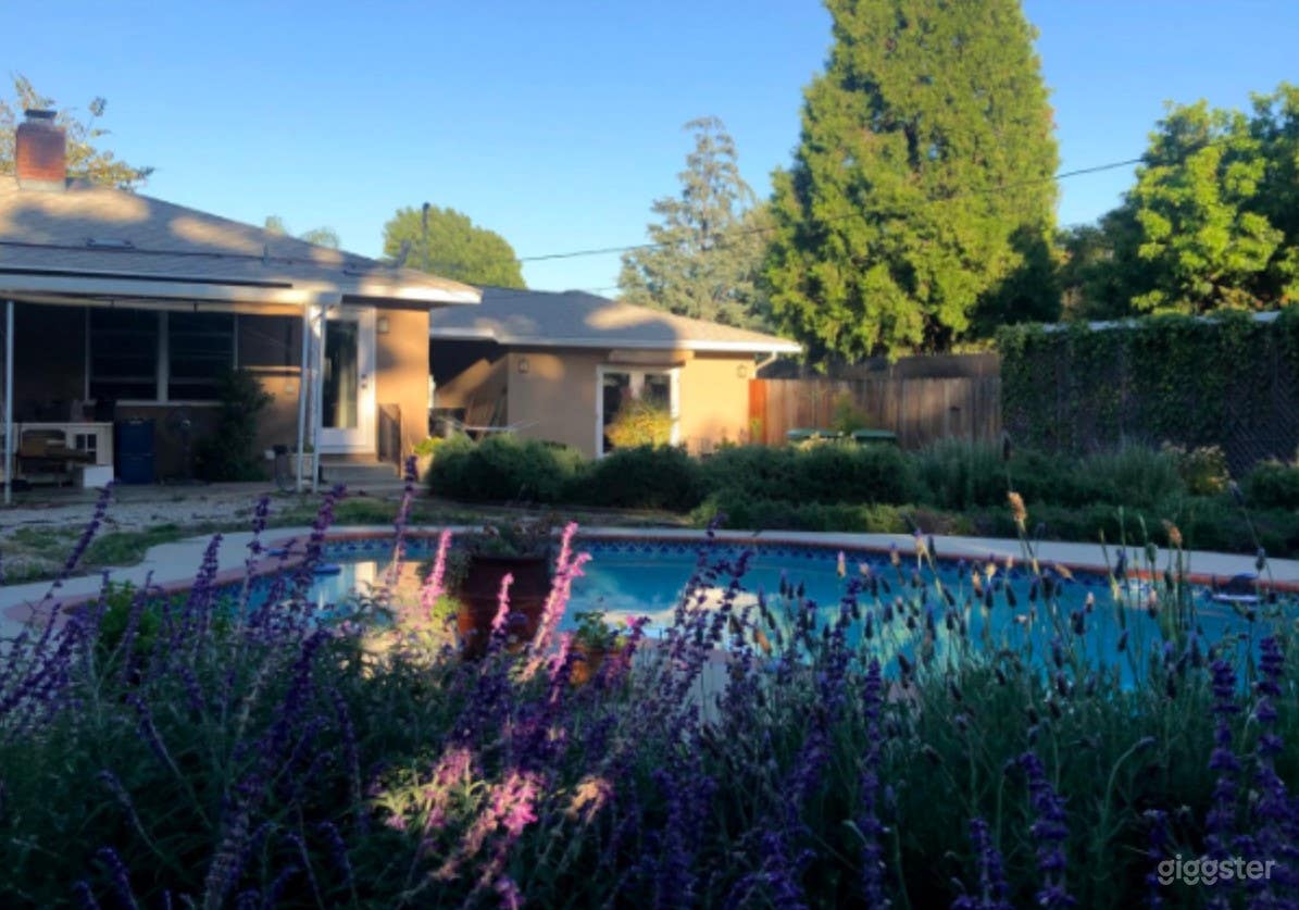 Original 1950's Pool in Los Angeles Photo 2