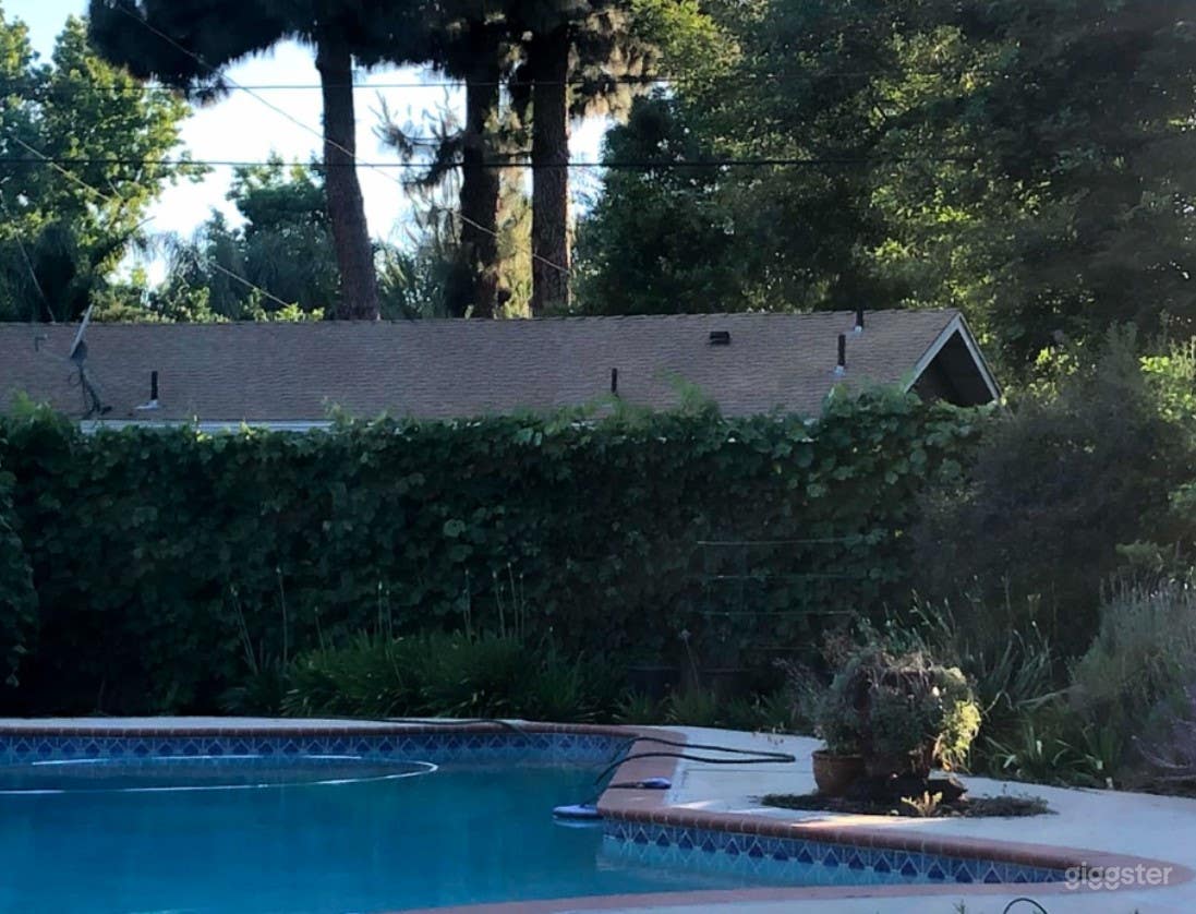 Original 1950's Pool in Los Angeles Photo 4