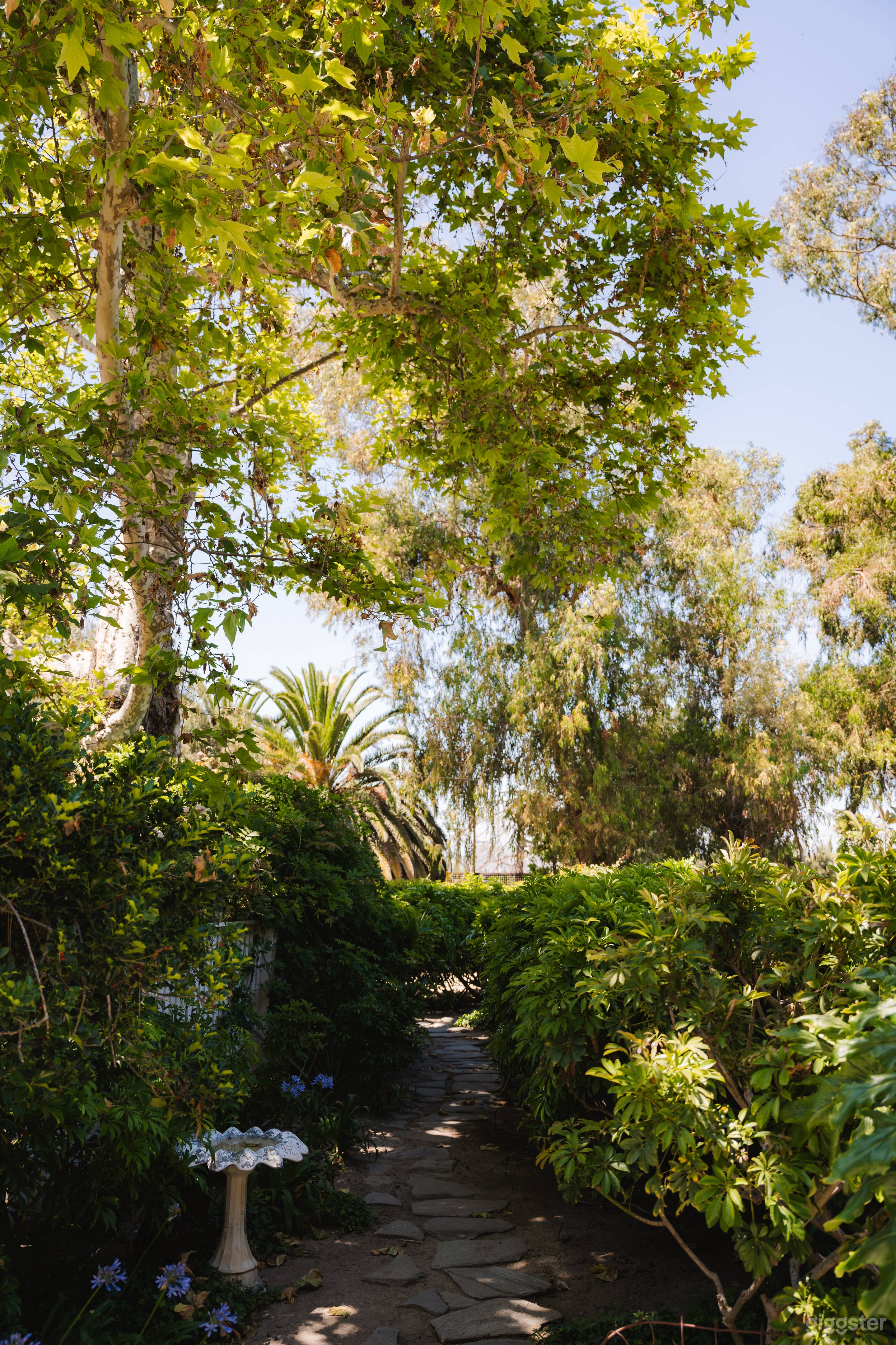 McCormick Home Ranch Photo 2