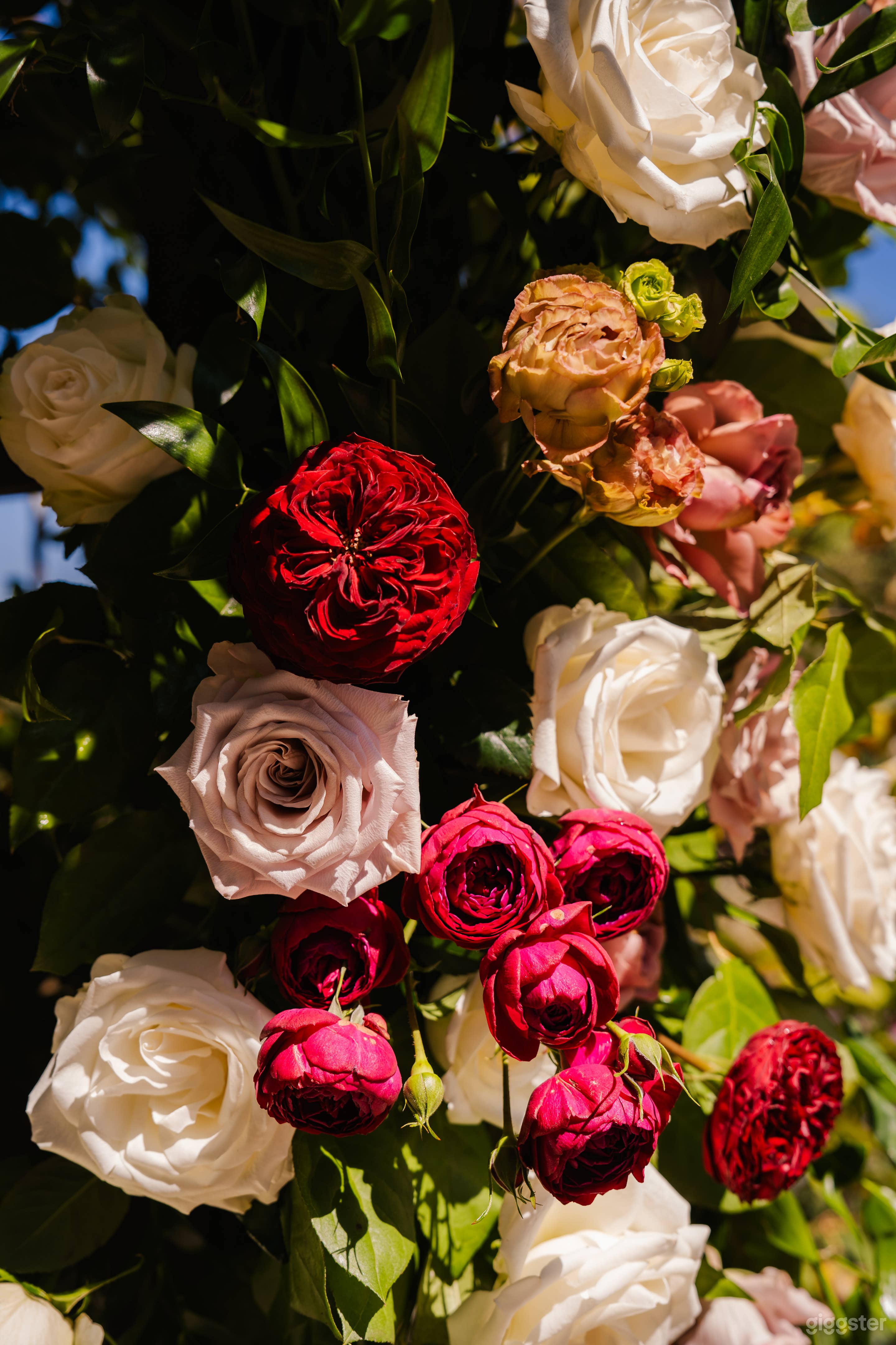 McCormick Home Ranch Photo 4