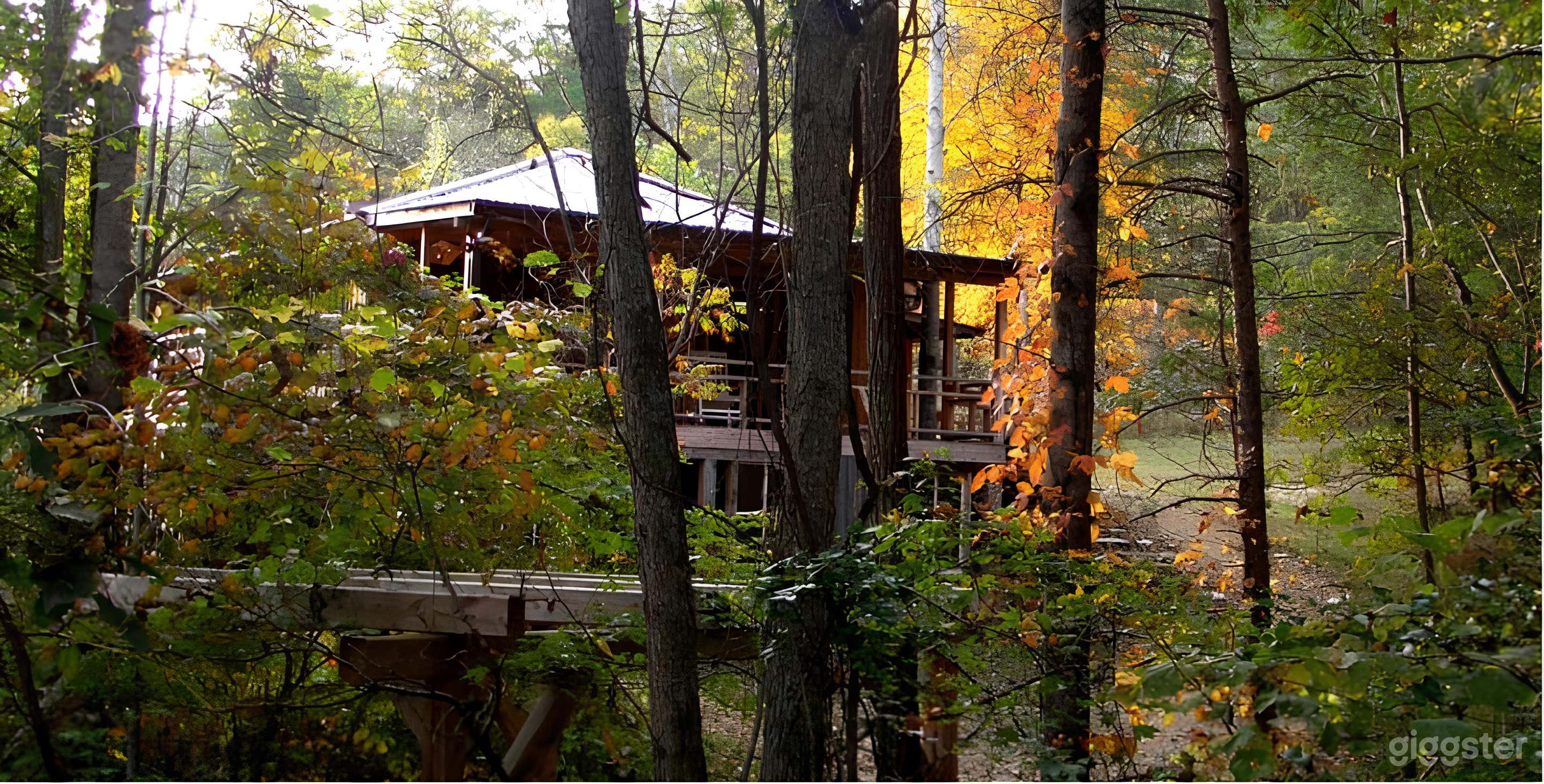 Pine Cabin by the Creek Photo 1
