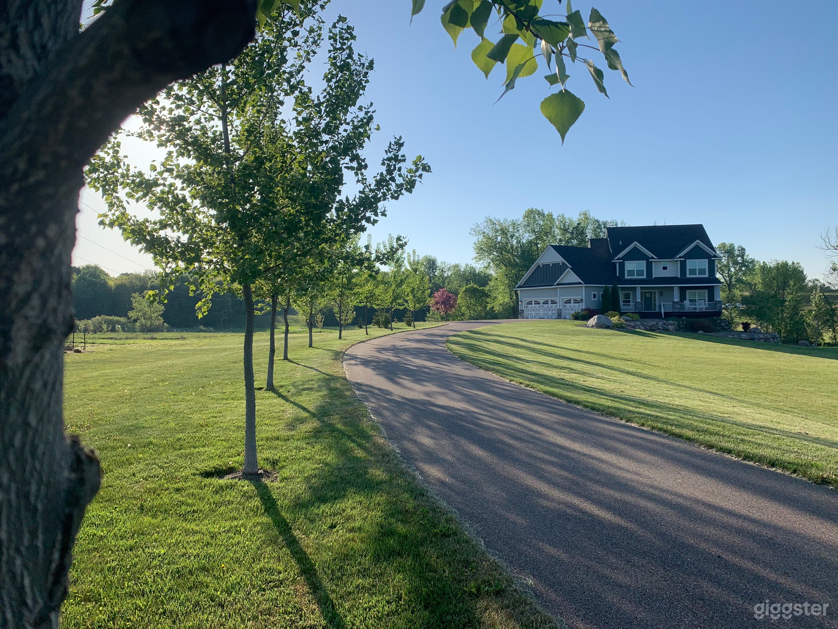 Wide front with driveway and trees. 