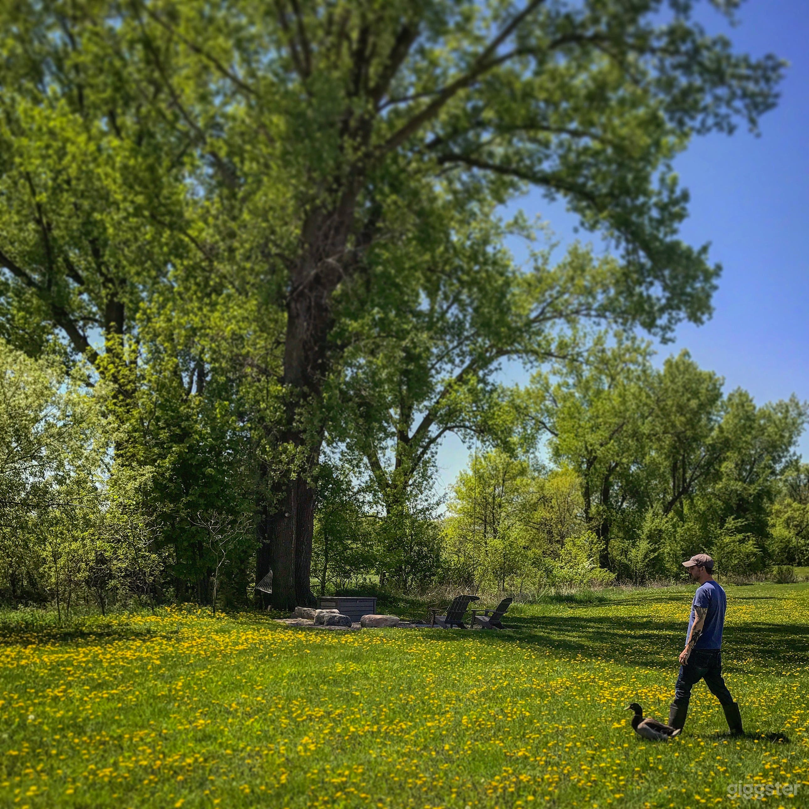 Fire pit area back yard. 