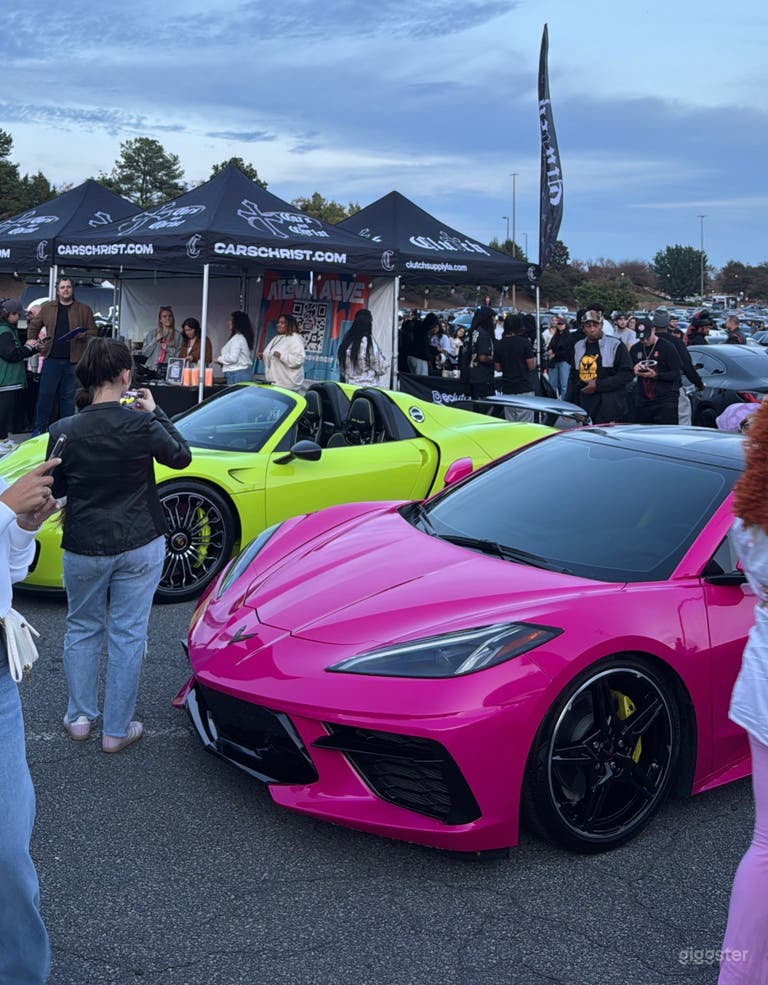  Hot Pink C8 Corvette 