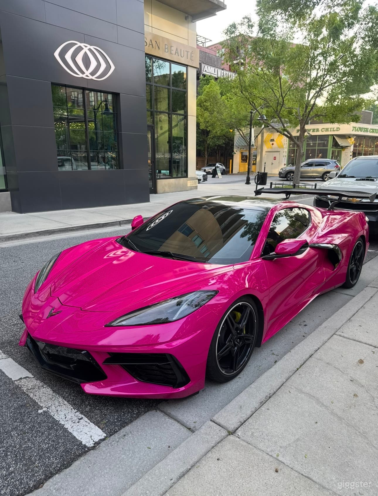 Hot Pink C8 Corvette Photo 1