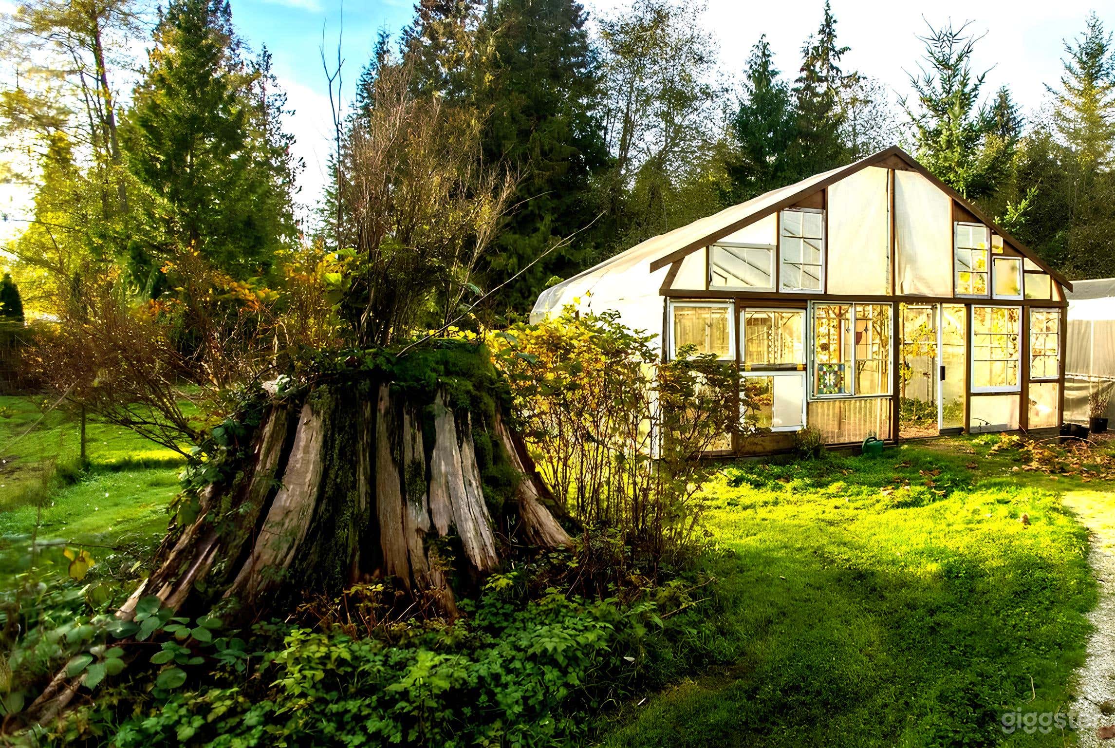 Sunlit Greenhouse Production Space Photo 1