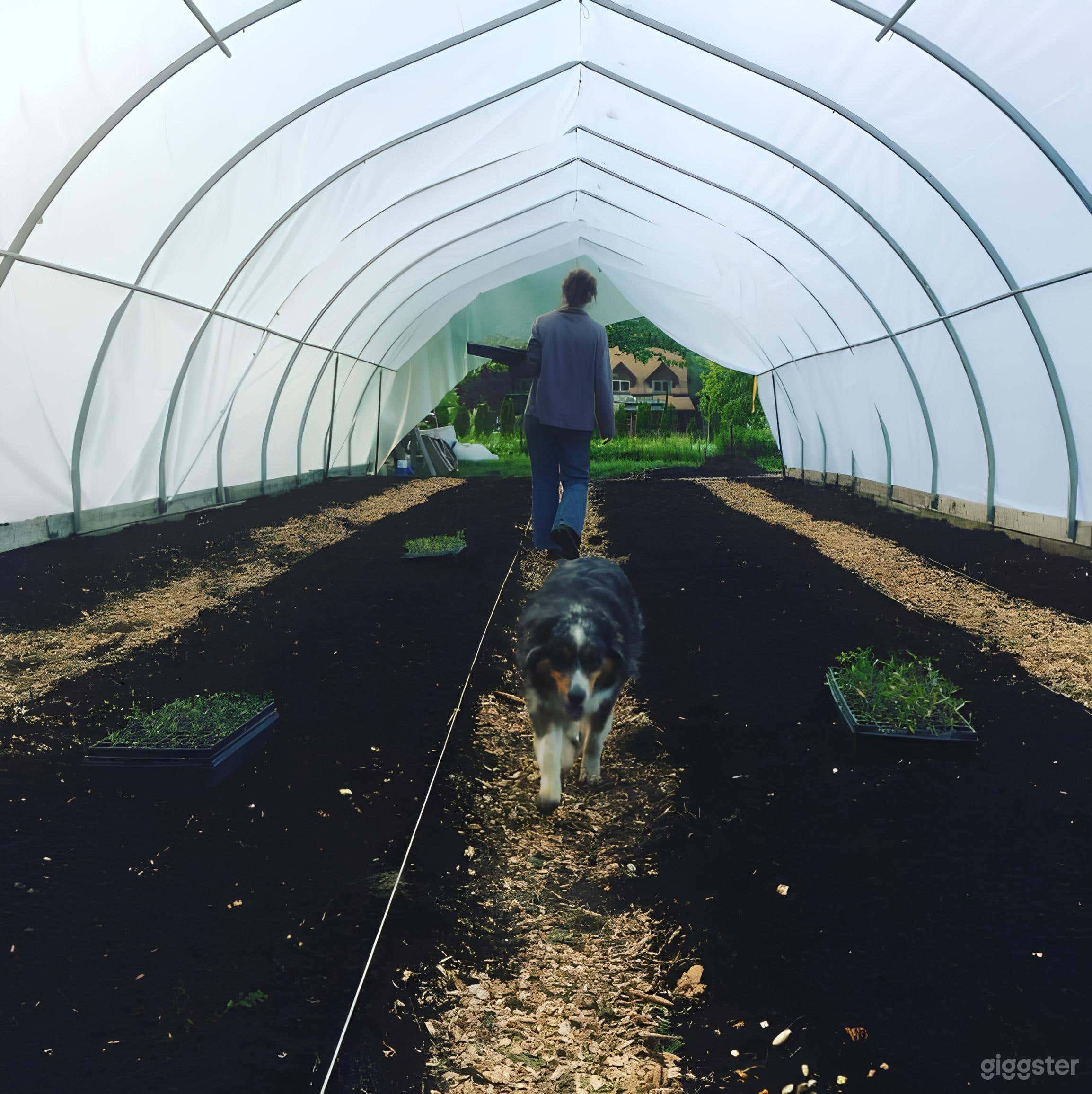 Sunlit Greenhouse Production Space Photo 2