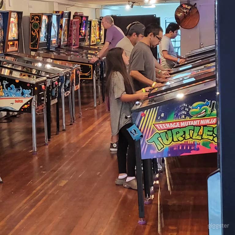  All In One Pinball for Events and Functions 