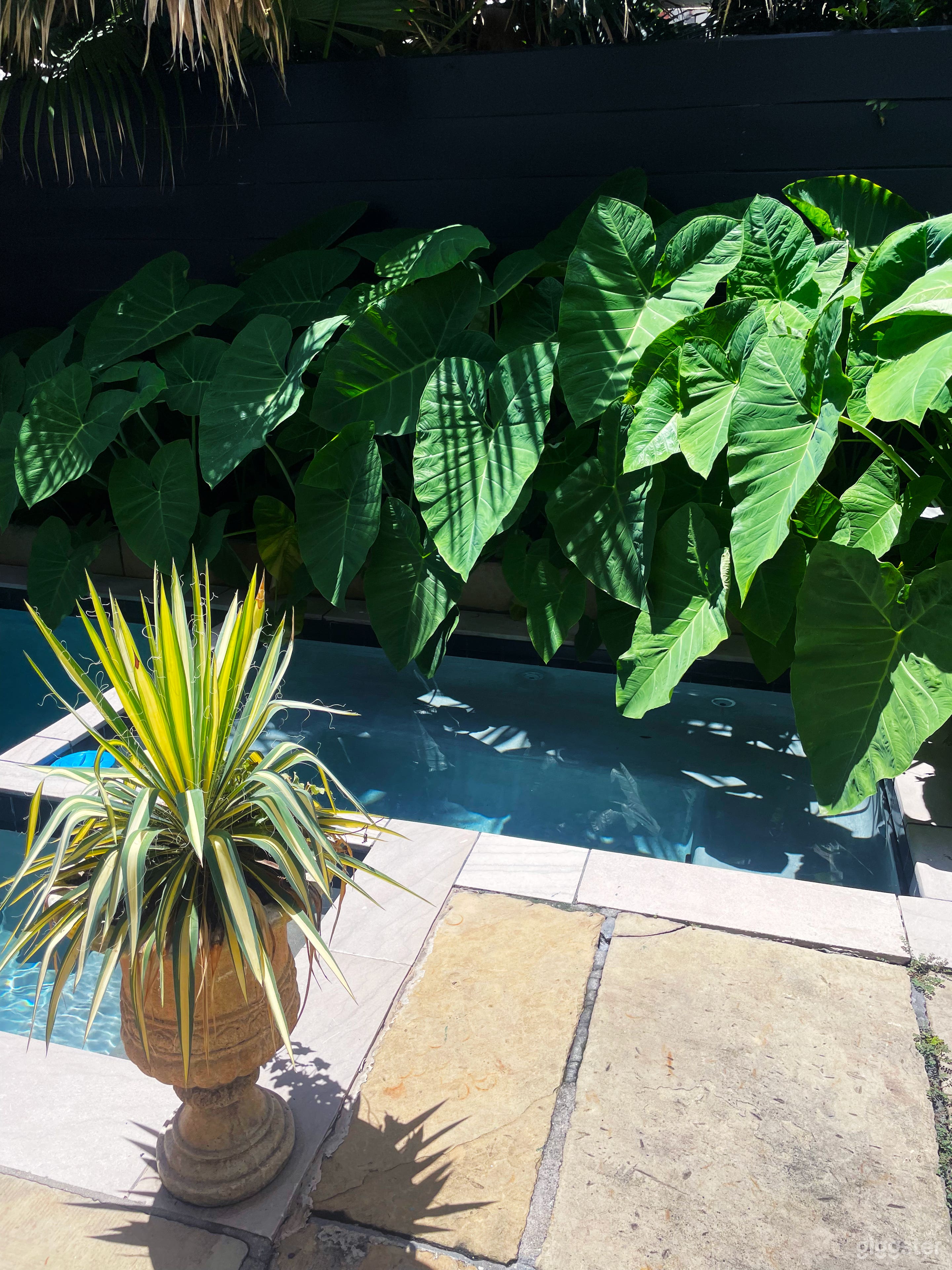 French Quarter Private Stunning Pool &amp; Spa Photo 4