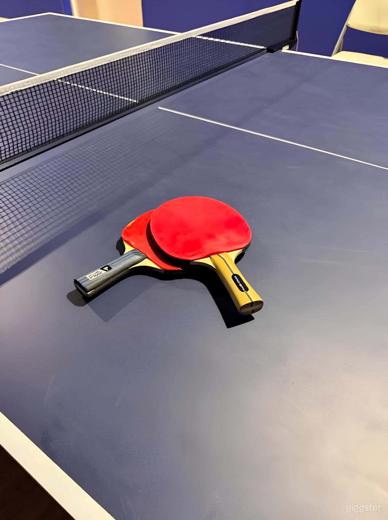 Table Tennis Room Photo 4