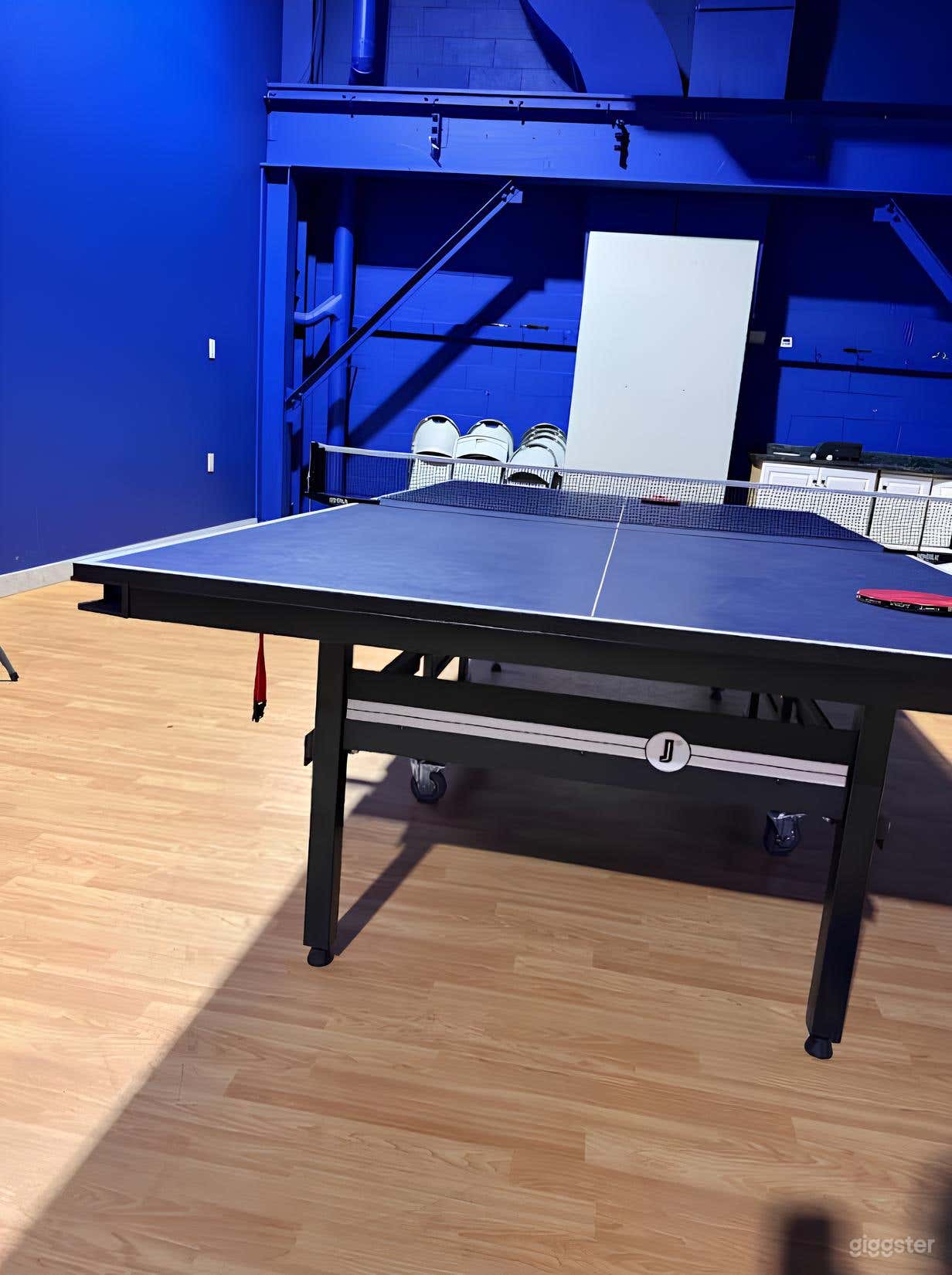 Table Tennis Room Photo 2