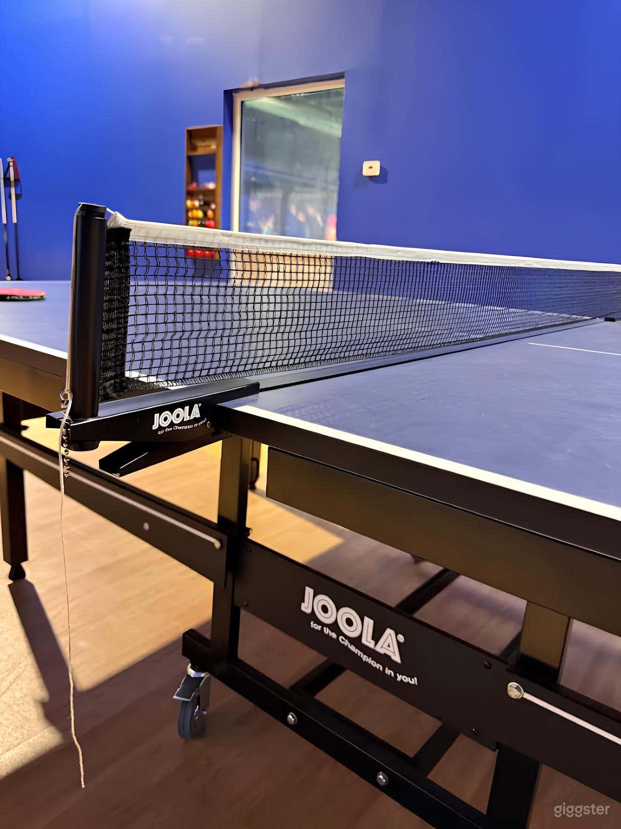 Table Tennis Room Photo 1