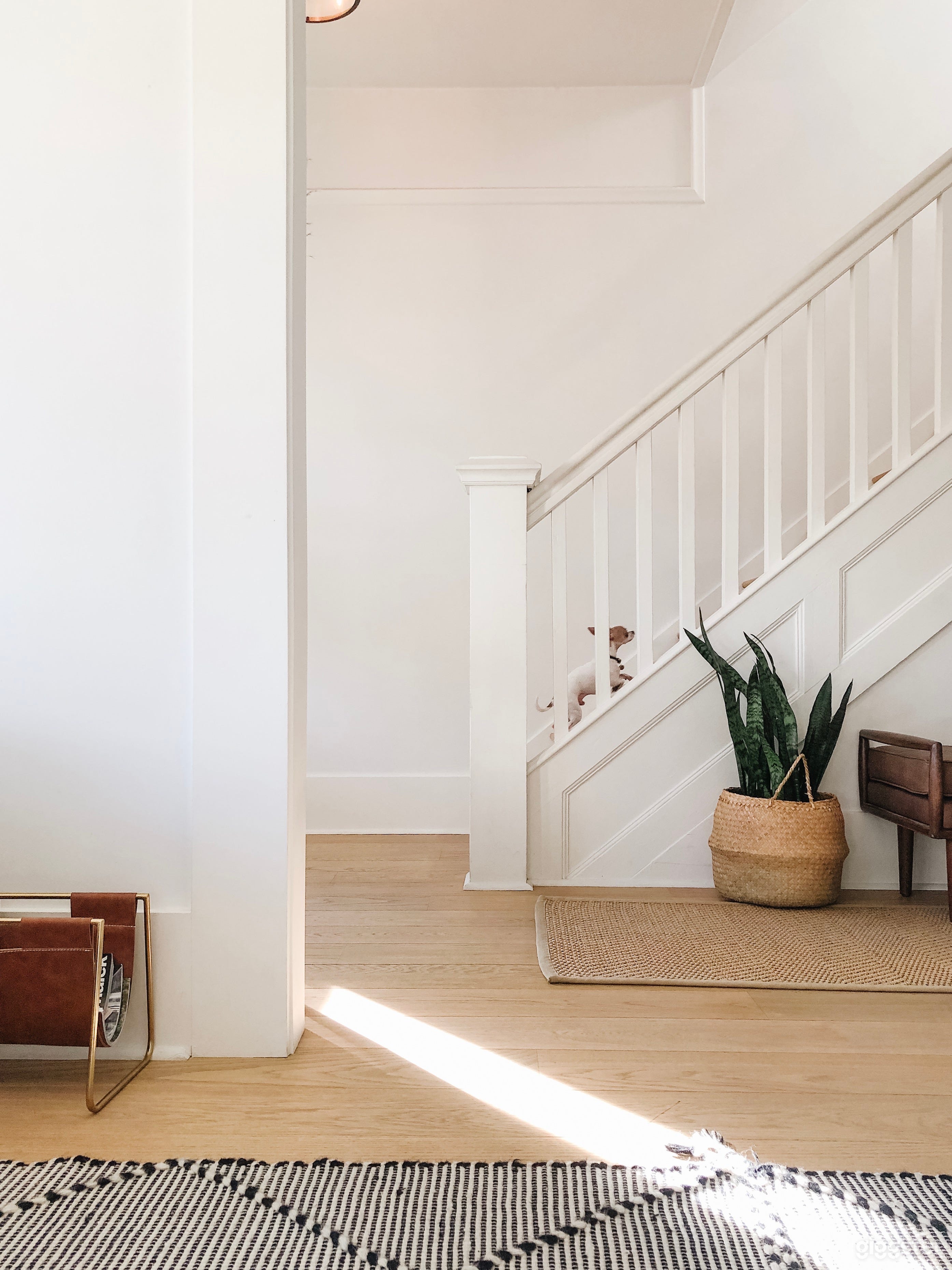 Modernized Edwardian Heritage Home in Strathcona Photo 3