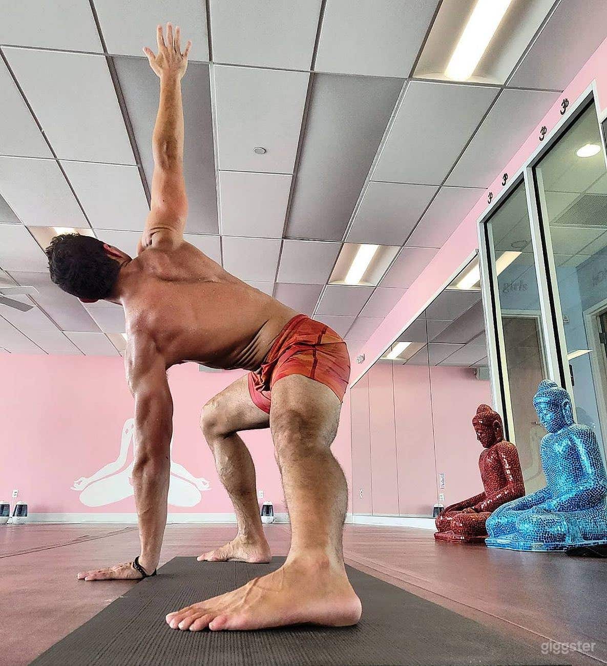 Idyllic Infra-Red Yoga Room for Productions and Photoshoots Photo 2