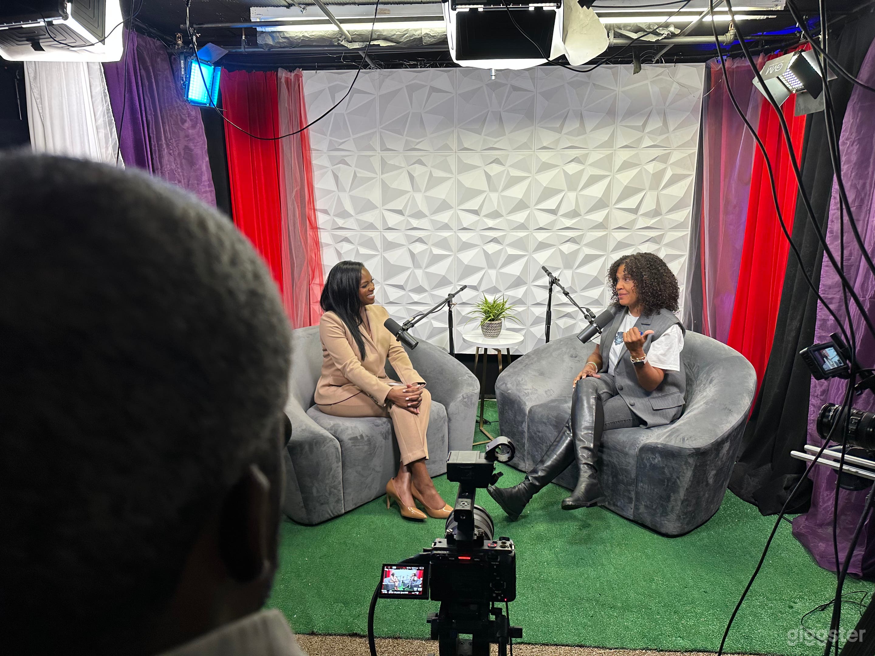 Politics And Black Families 