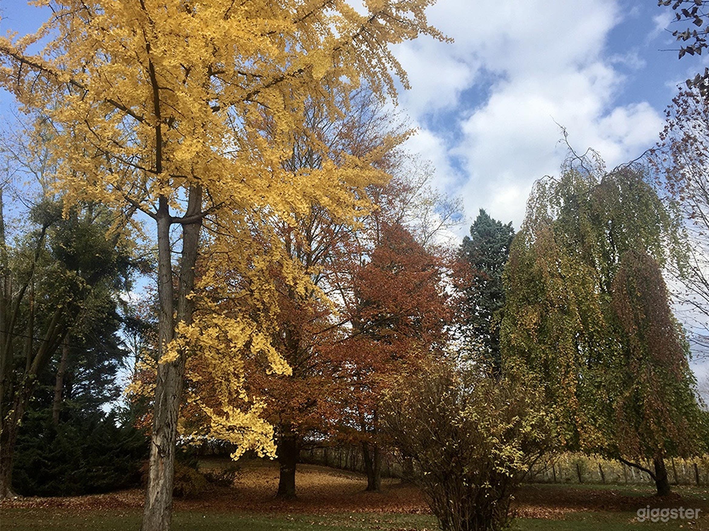 Photo de Parc arboré et ombragé au cœur des vignobles savoyards 4