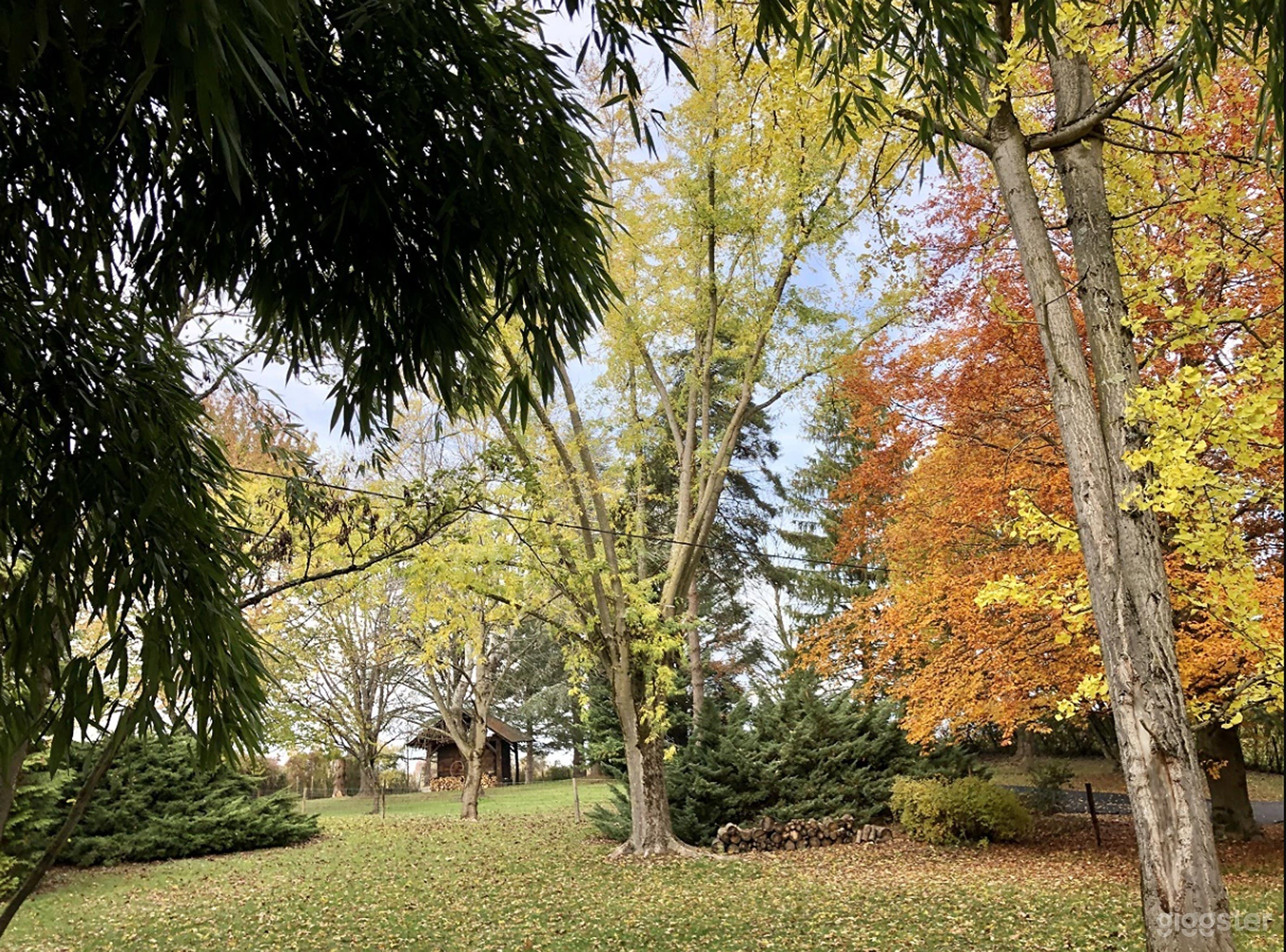 Photo de Parc arboré et ombragé au cœur des vignobles savoyards 3