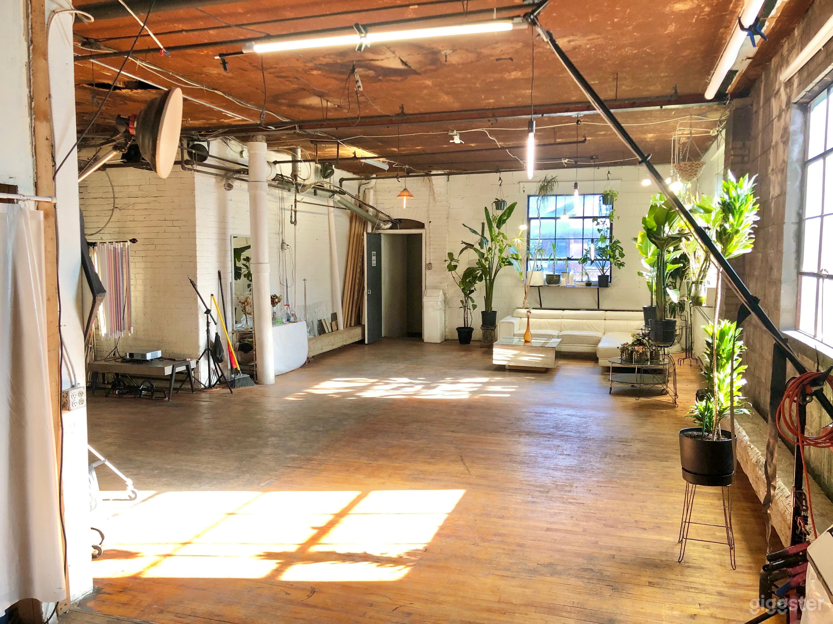 Sunny windows face mostly south and east!  :)