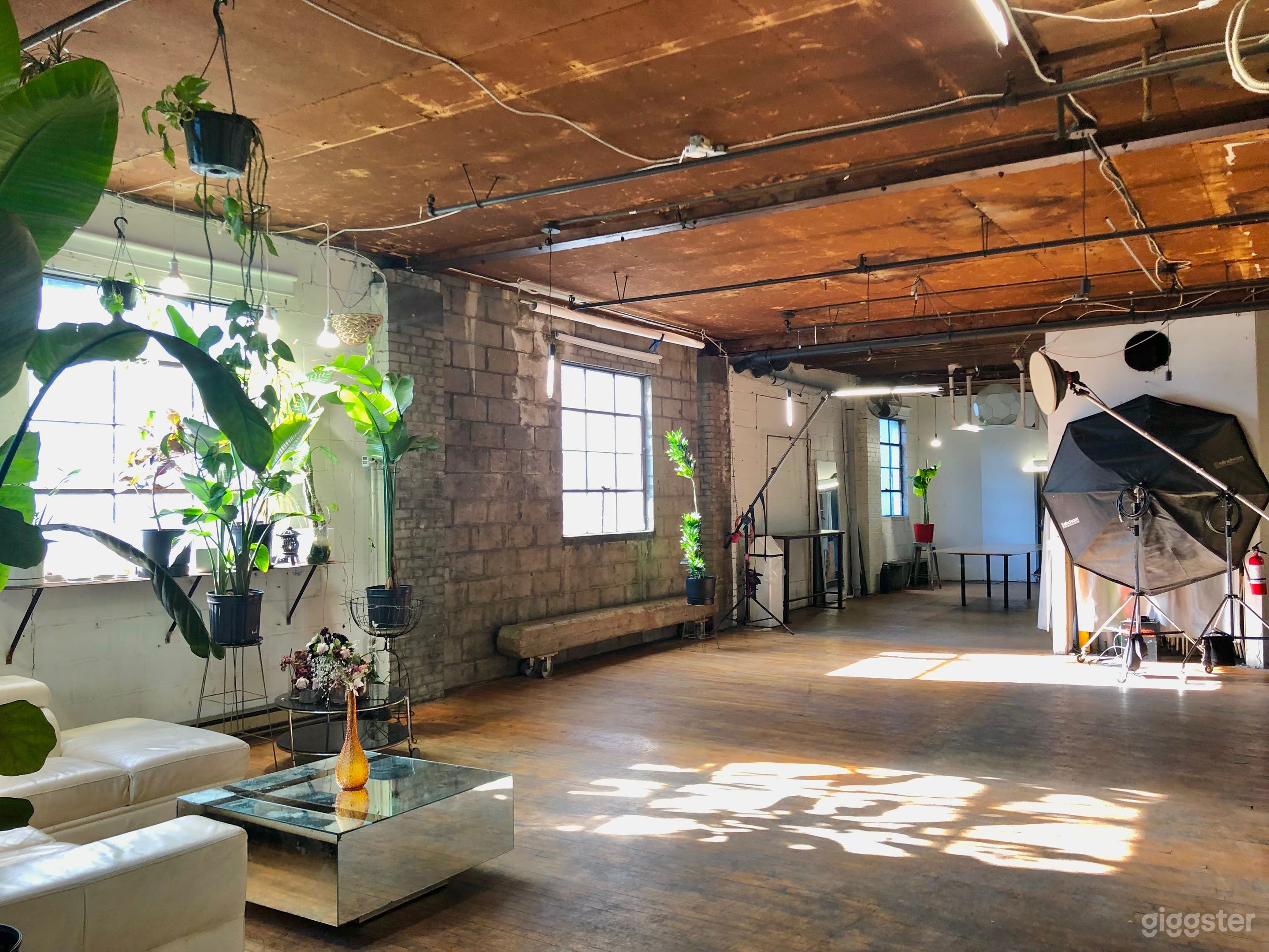 Current photo!  Feb 2025
