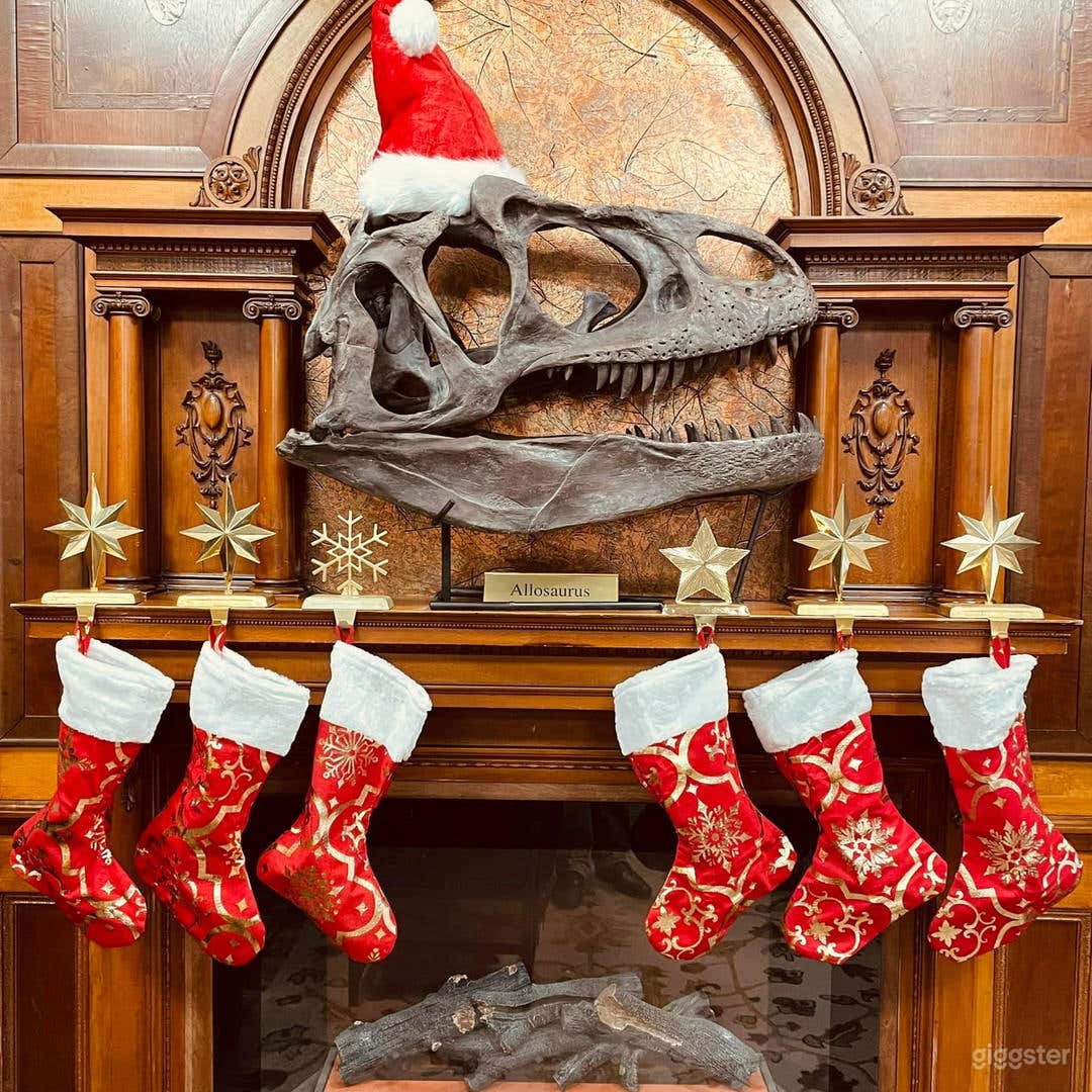 Dinosaur Themed Museum Hotel  Photo 3