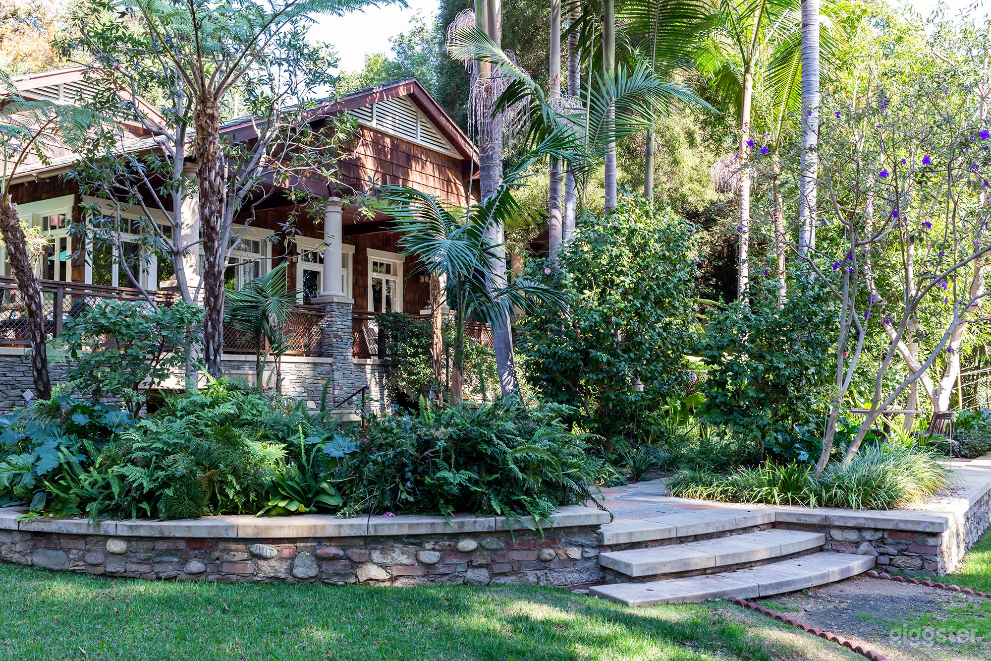 Highwood Forest  Photo 1