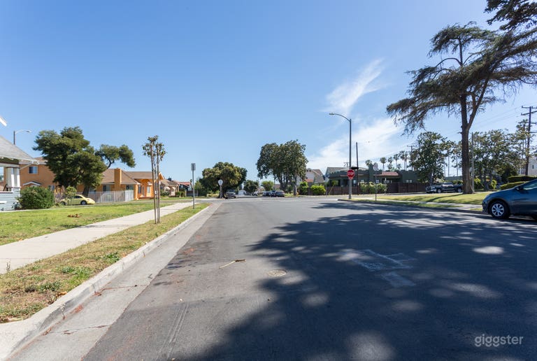  1925 Spanish Charmer 