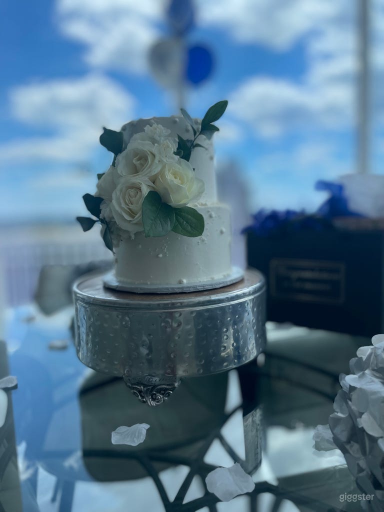  Floor to Ceiling Panoramic Downtown Raleigh Views! 