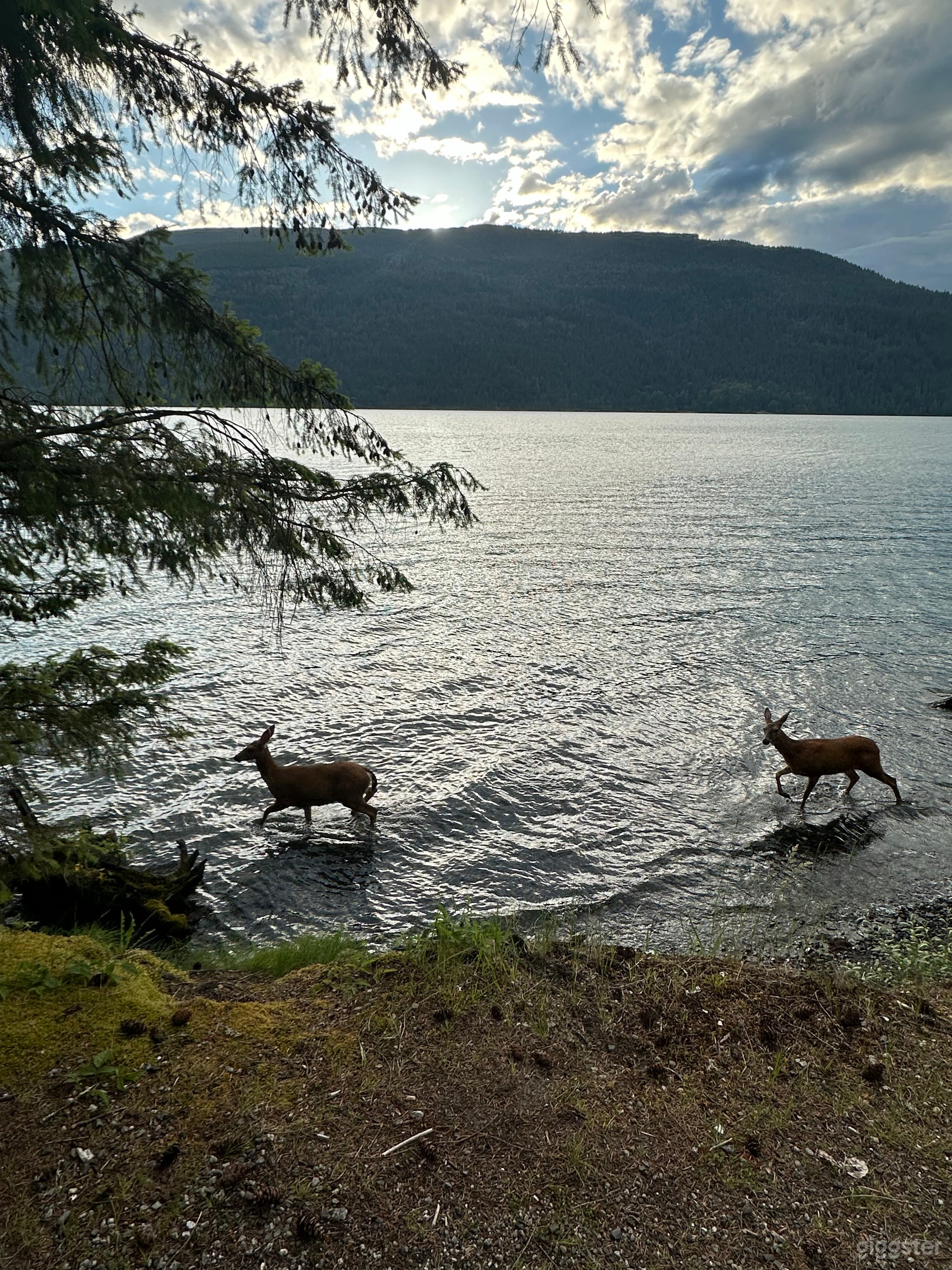 Waterfront View between the Ocean and Mountains Photo 3